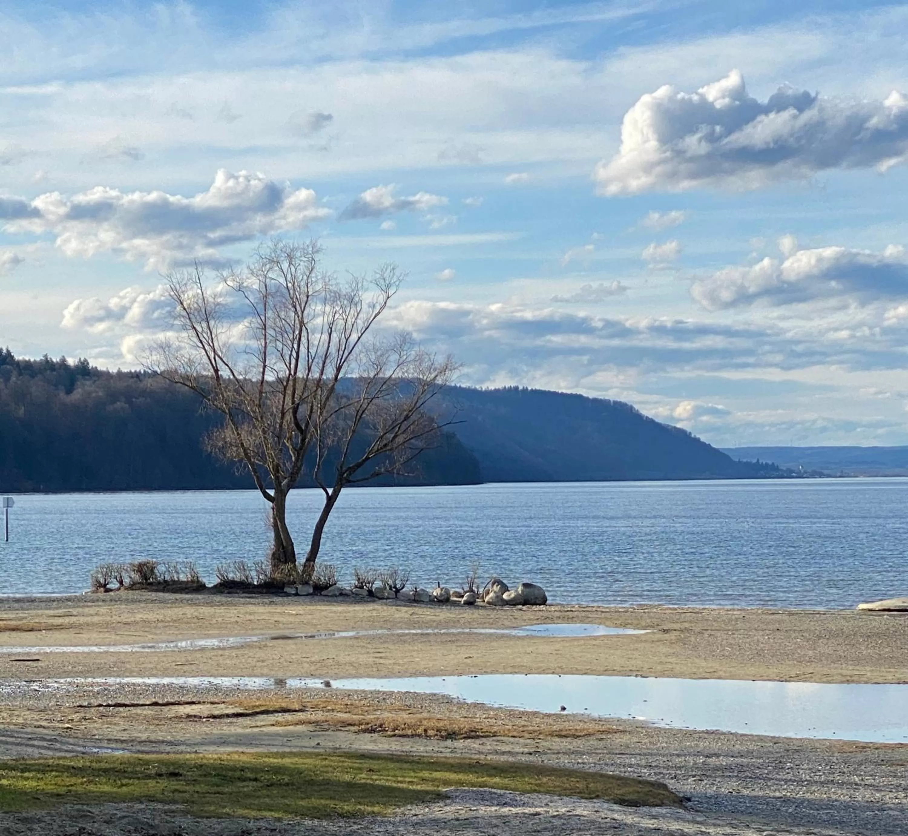 Beach in Hotel Haus Seehang