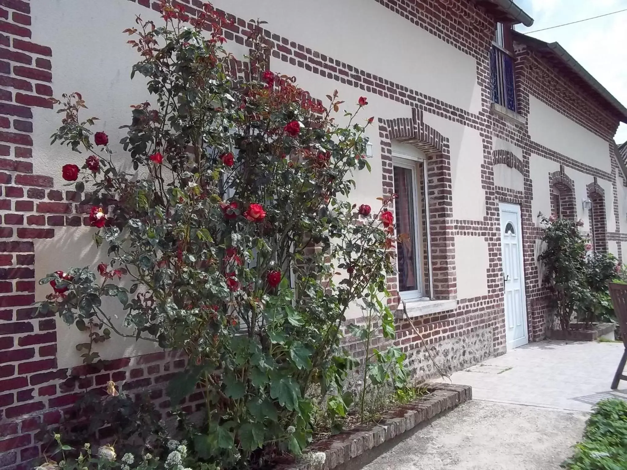 Facade/entrance, Property Building in Le Cardonnet