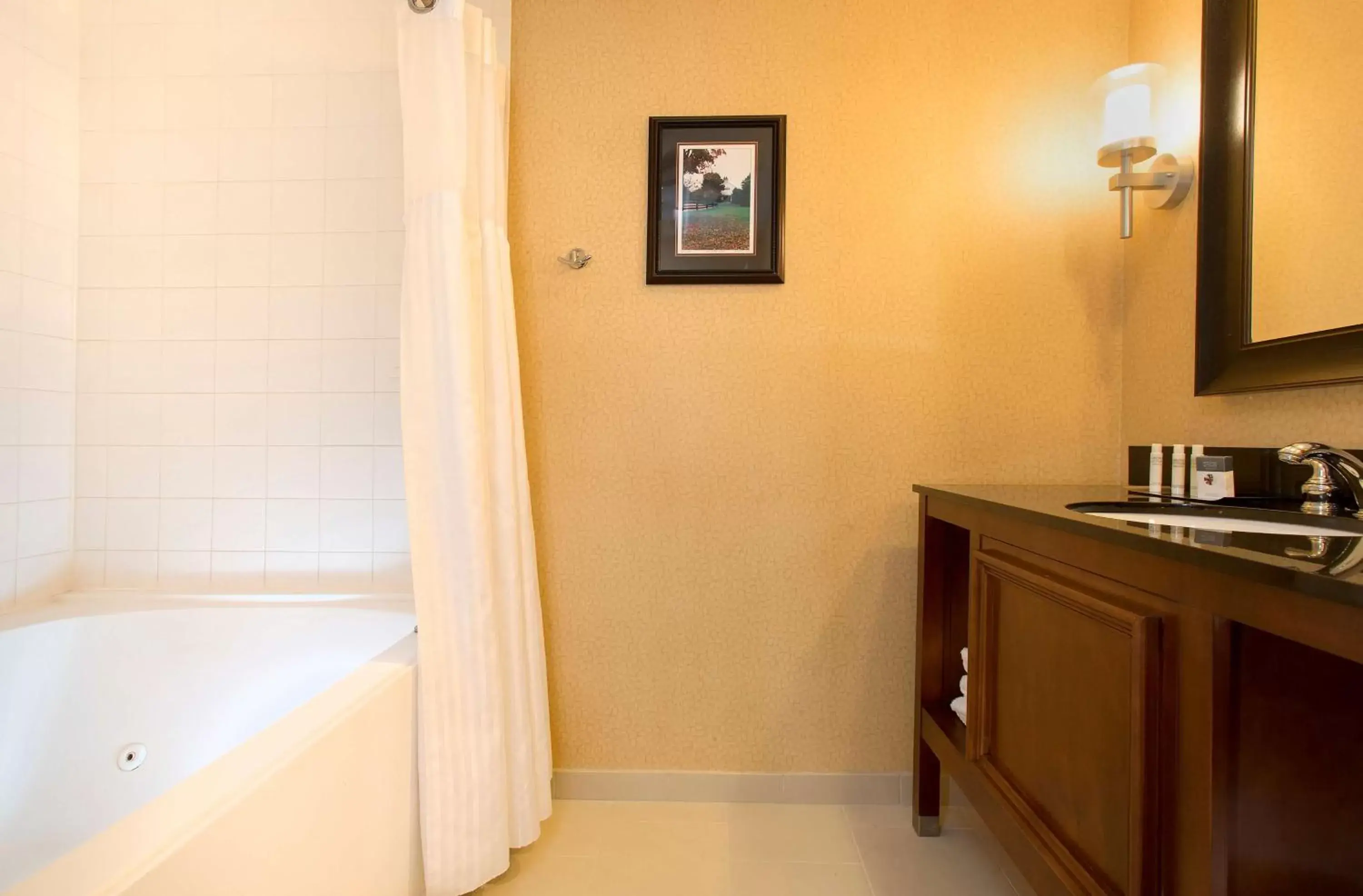 Bathroom in DoubleTree Suites by Hilton Lexington