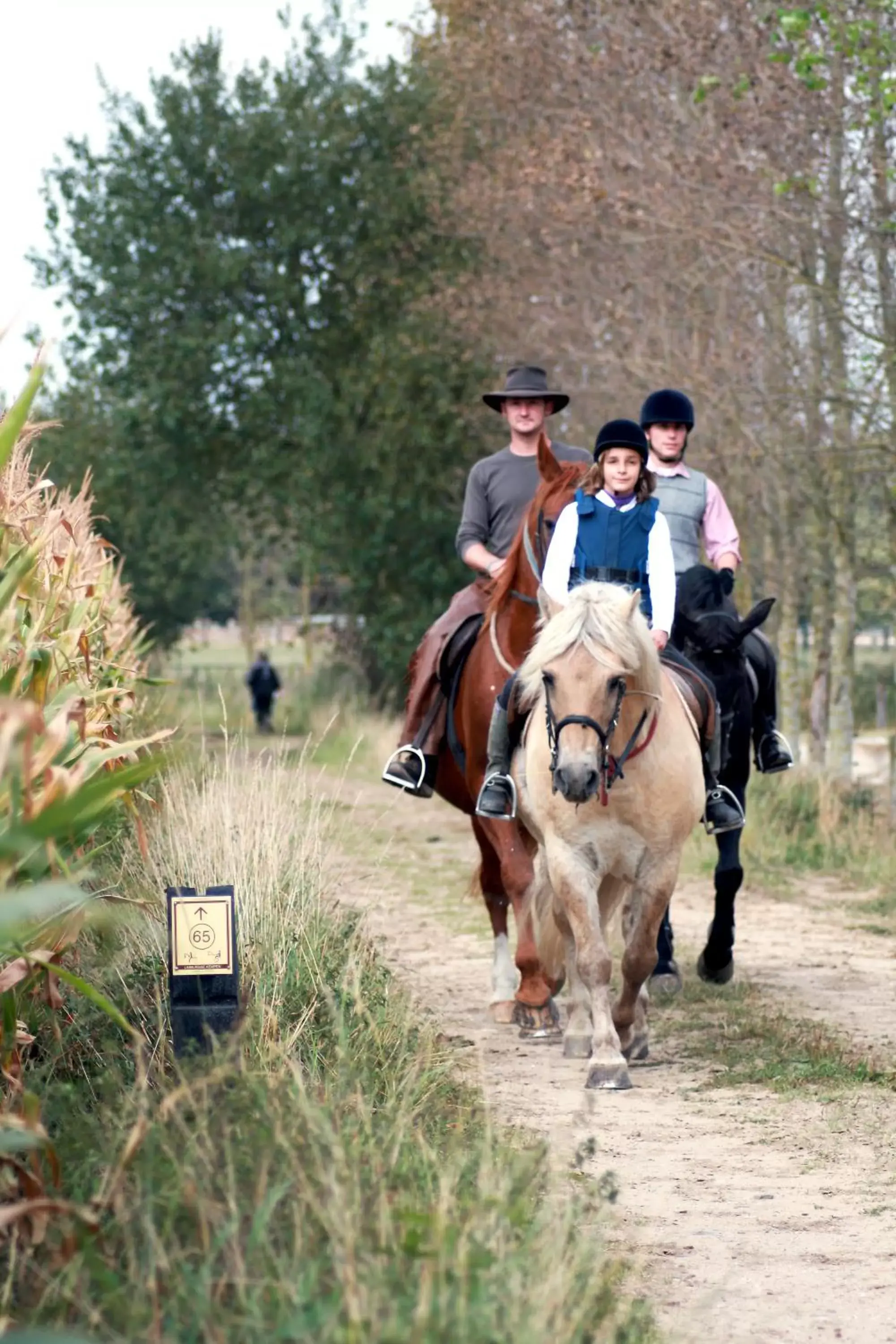 Horse-riding in Hotel De Boskar Peer