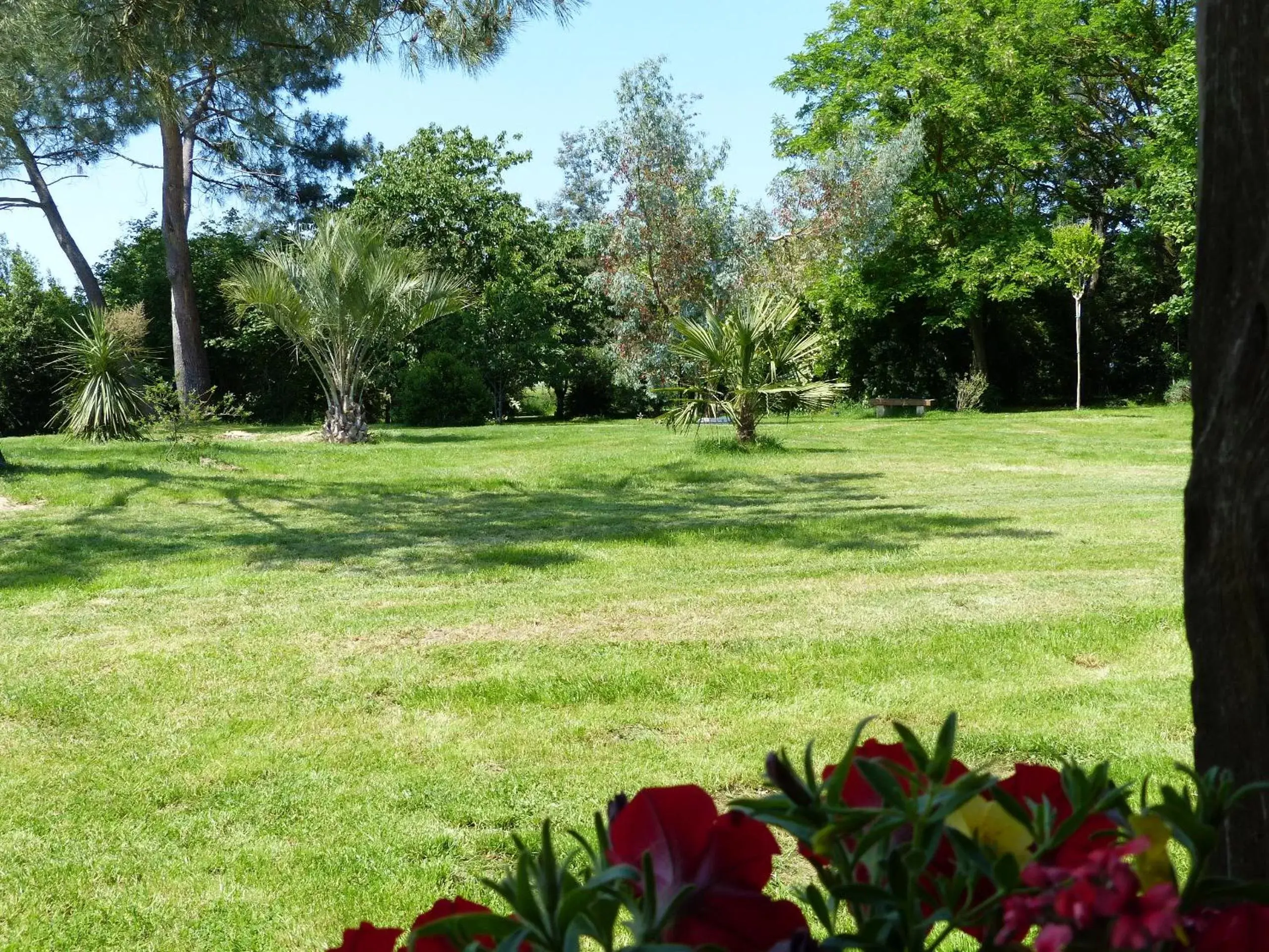 Property building, Garden in Les Terrasses des Mimosas