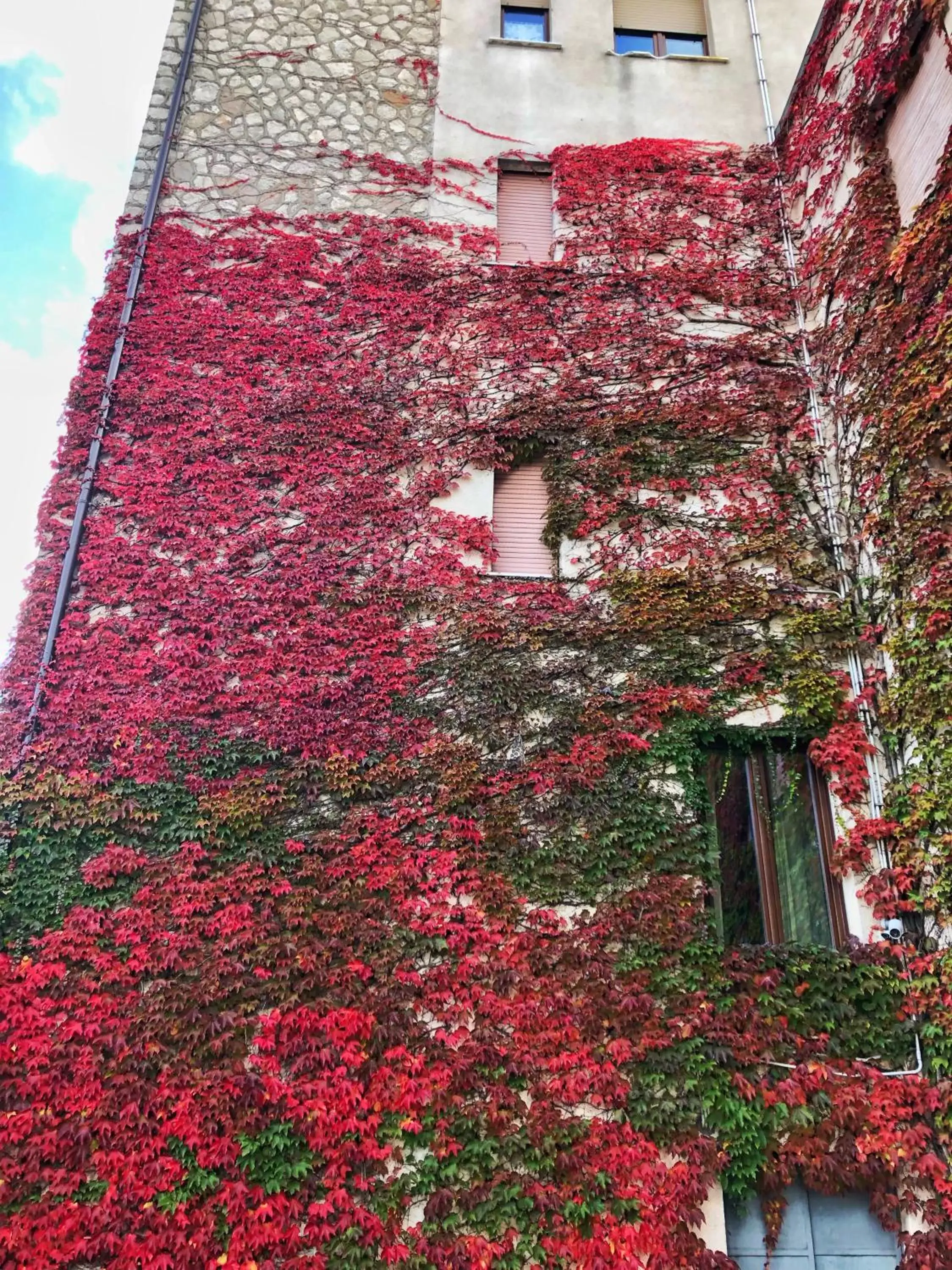 Property building, Garden in Hotel Colucci