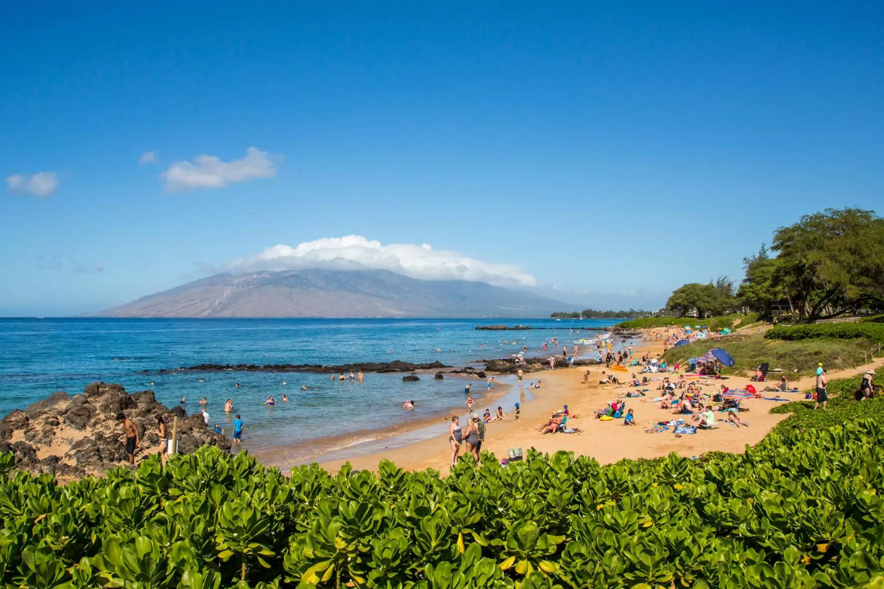 Beach in Castle Kamaole Sands