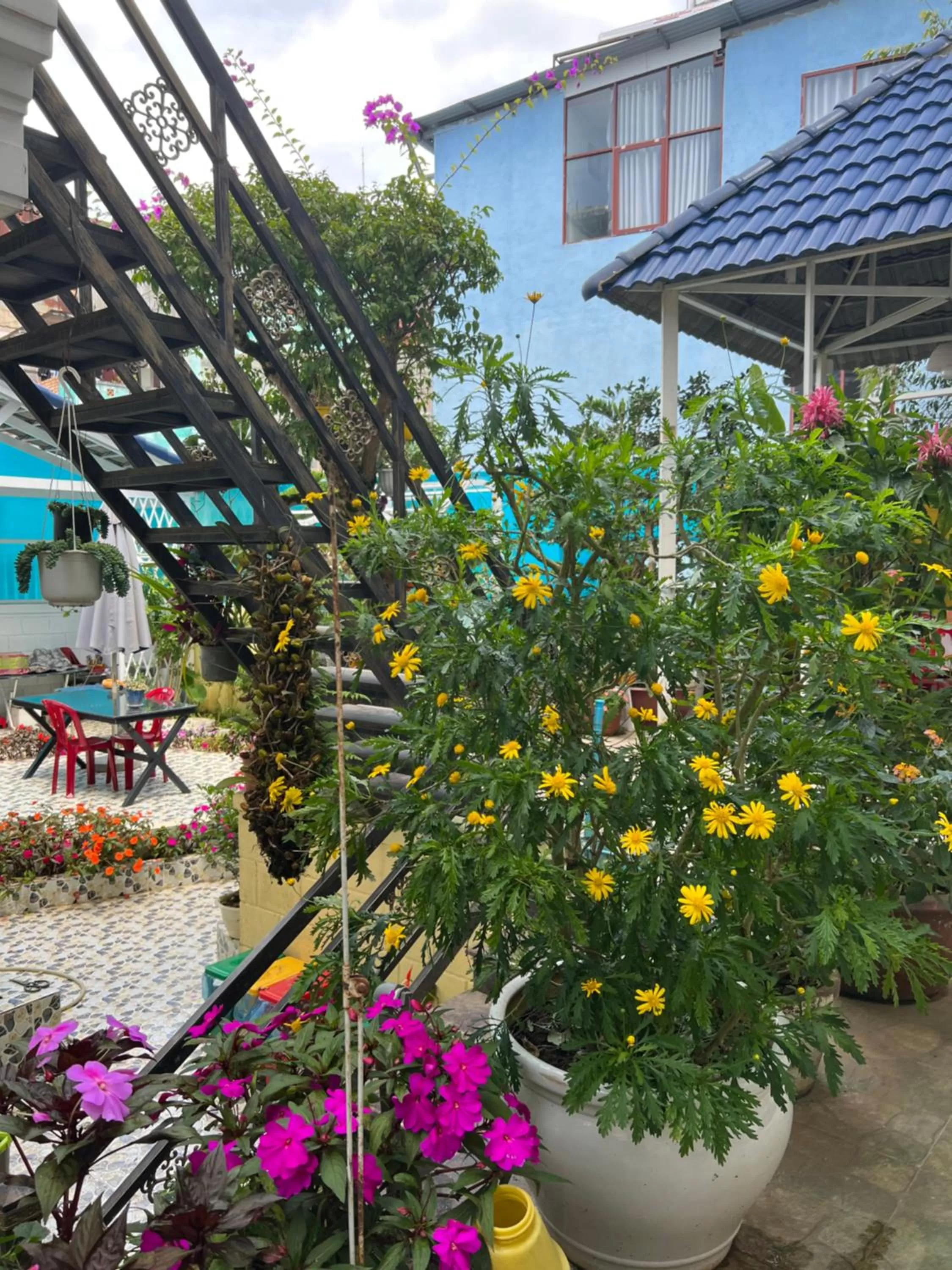 Garden in Villa - Hotel Nam Khang 2 Dalat