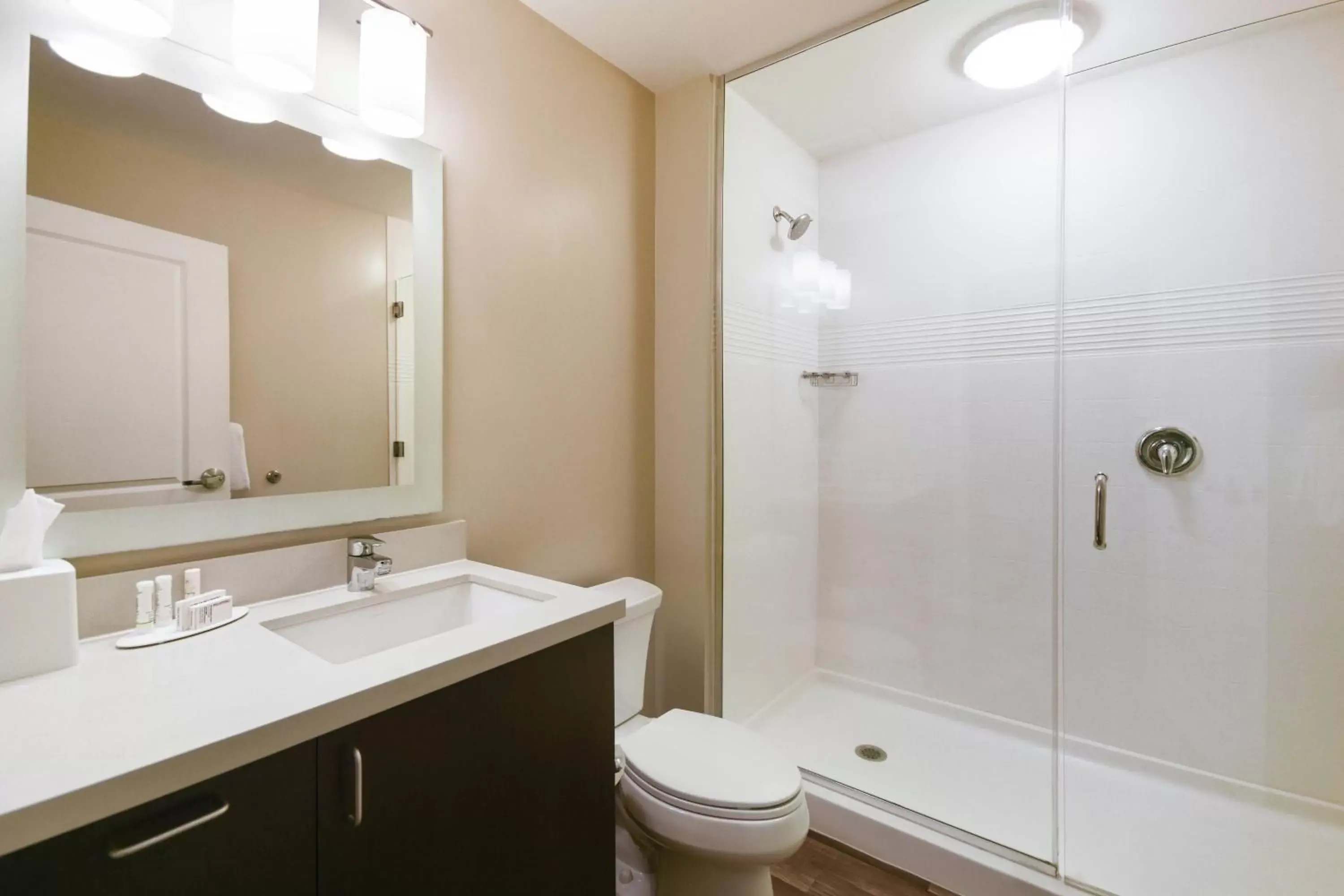 Bathroom in TownePlace Suites by Marriott Slidell