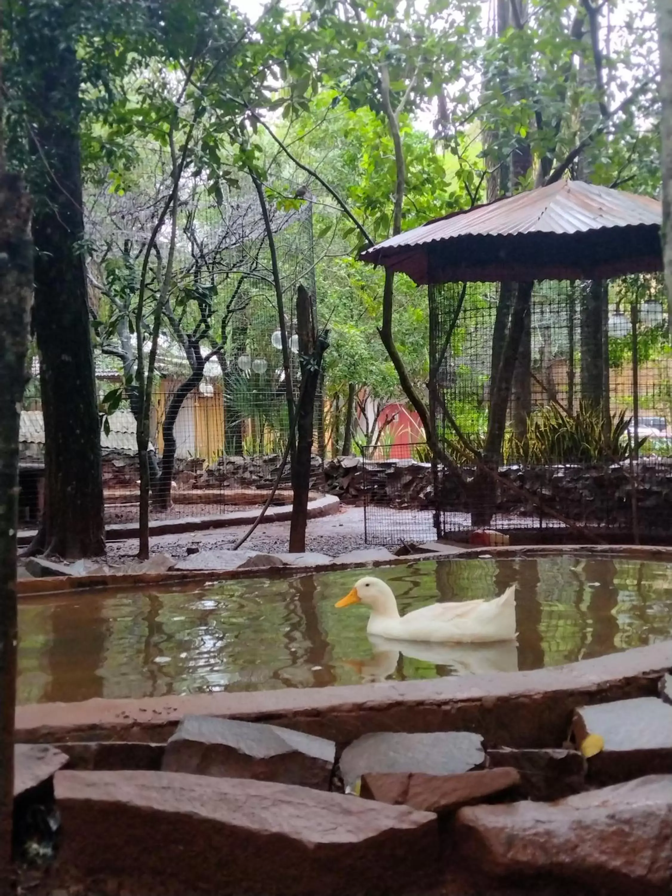 La Cautiva Iguazú Hotel