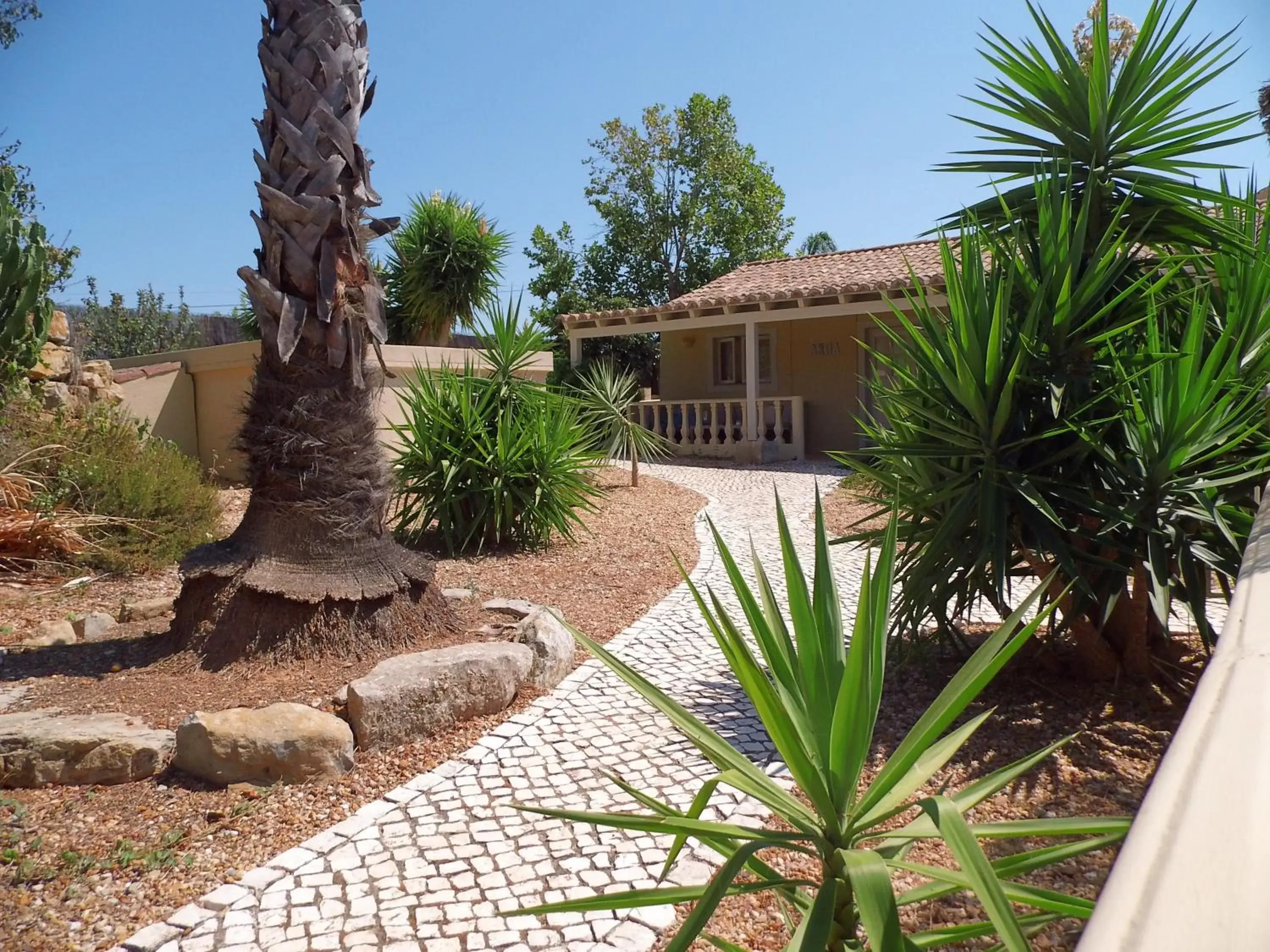 Garden, Property Building in Quinta Pereiro Tropic Garden, Algarve