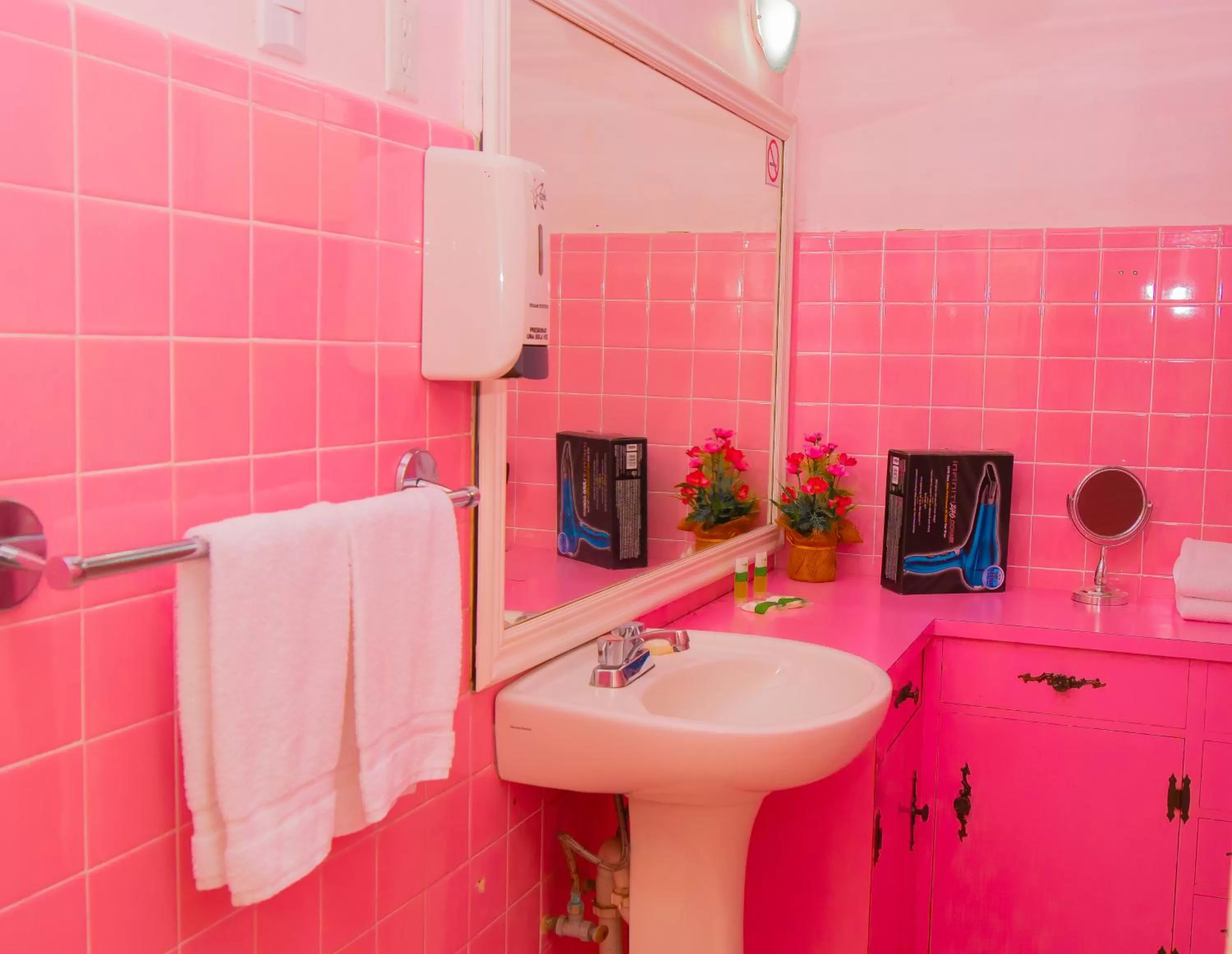 Toilet in Hotel Bamboo Aeropuerto