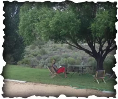 Bullberry inn Bed & Breakfast