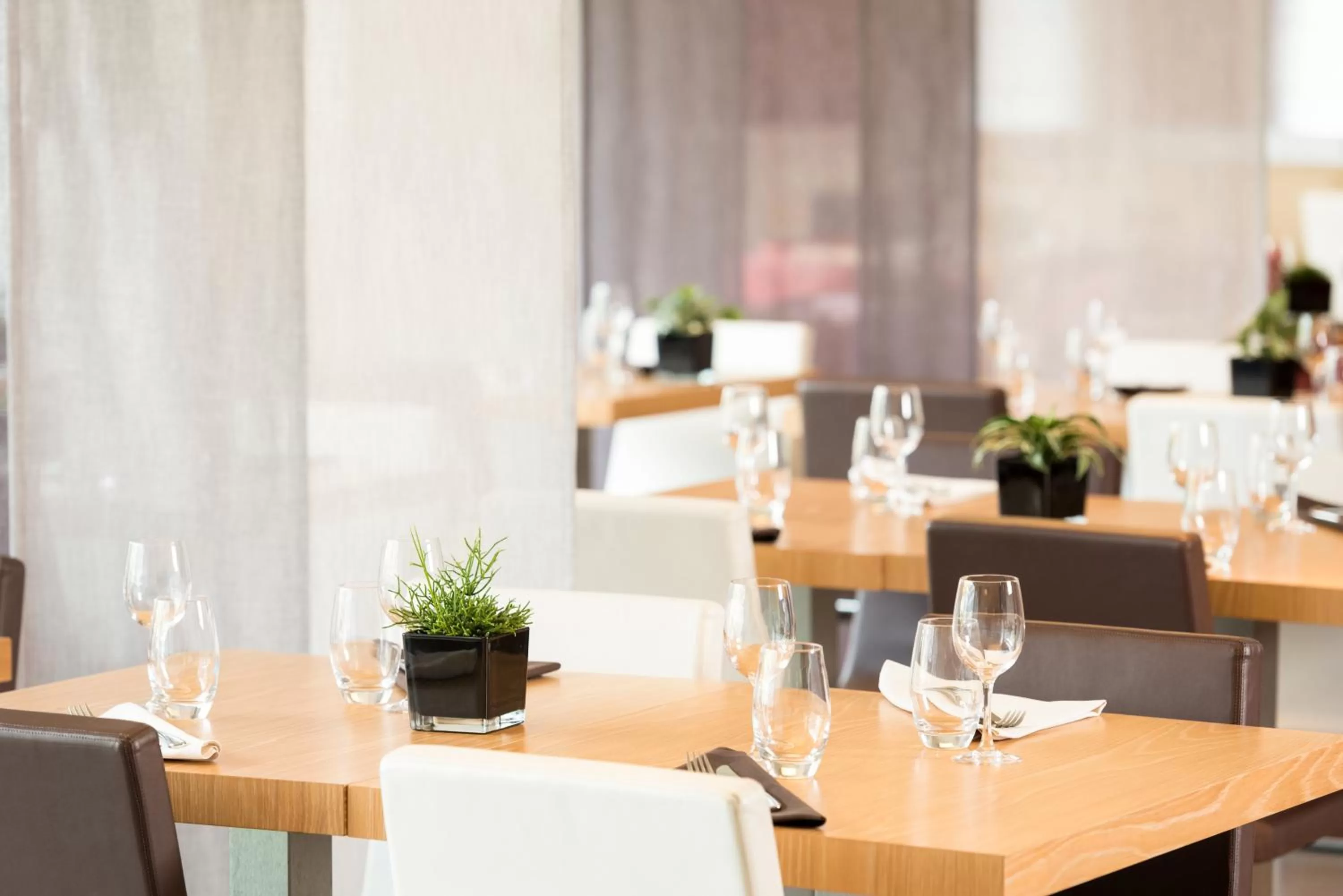 Restaurant/places to eat in Novotel Brussels Airport