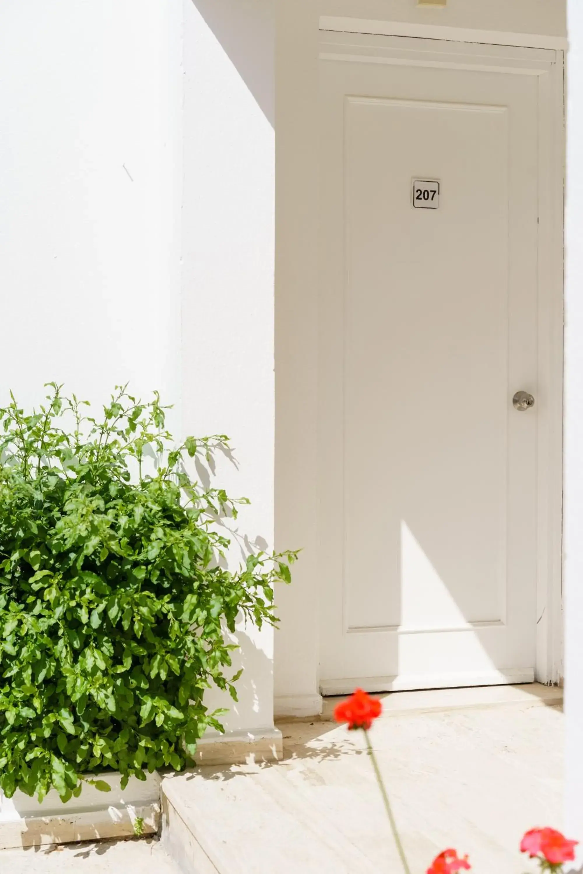 Facade/entrance in Costa Sariyaz Hotel Bodrum