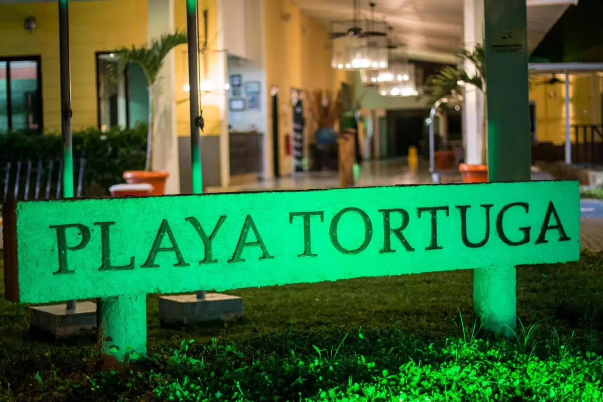 Property Logo/Sign in Playa Tortuga Hotel and Beach Resort