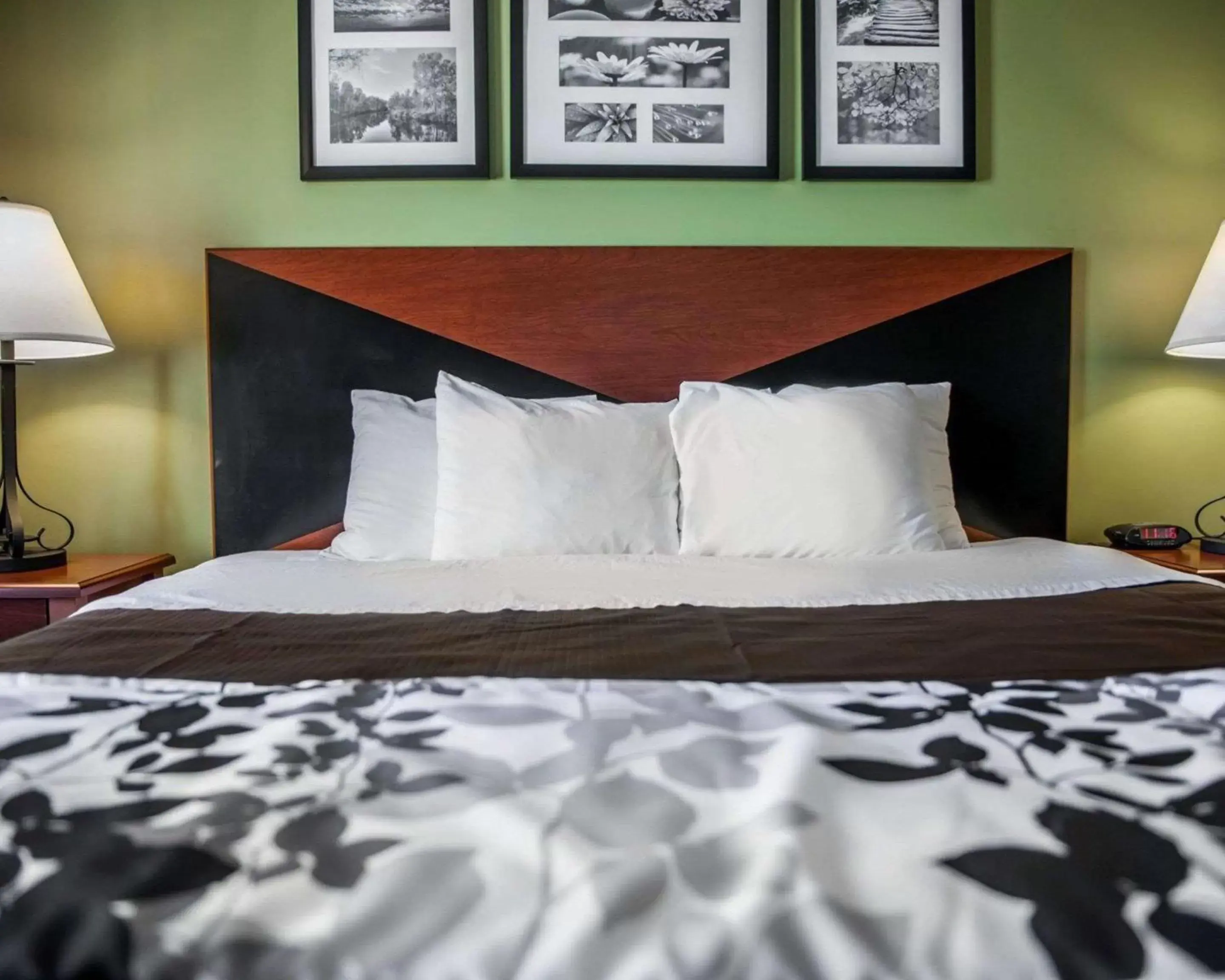 Photo of the whole room, Bed in Econo Lodge Champaign Urbana – University Area