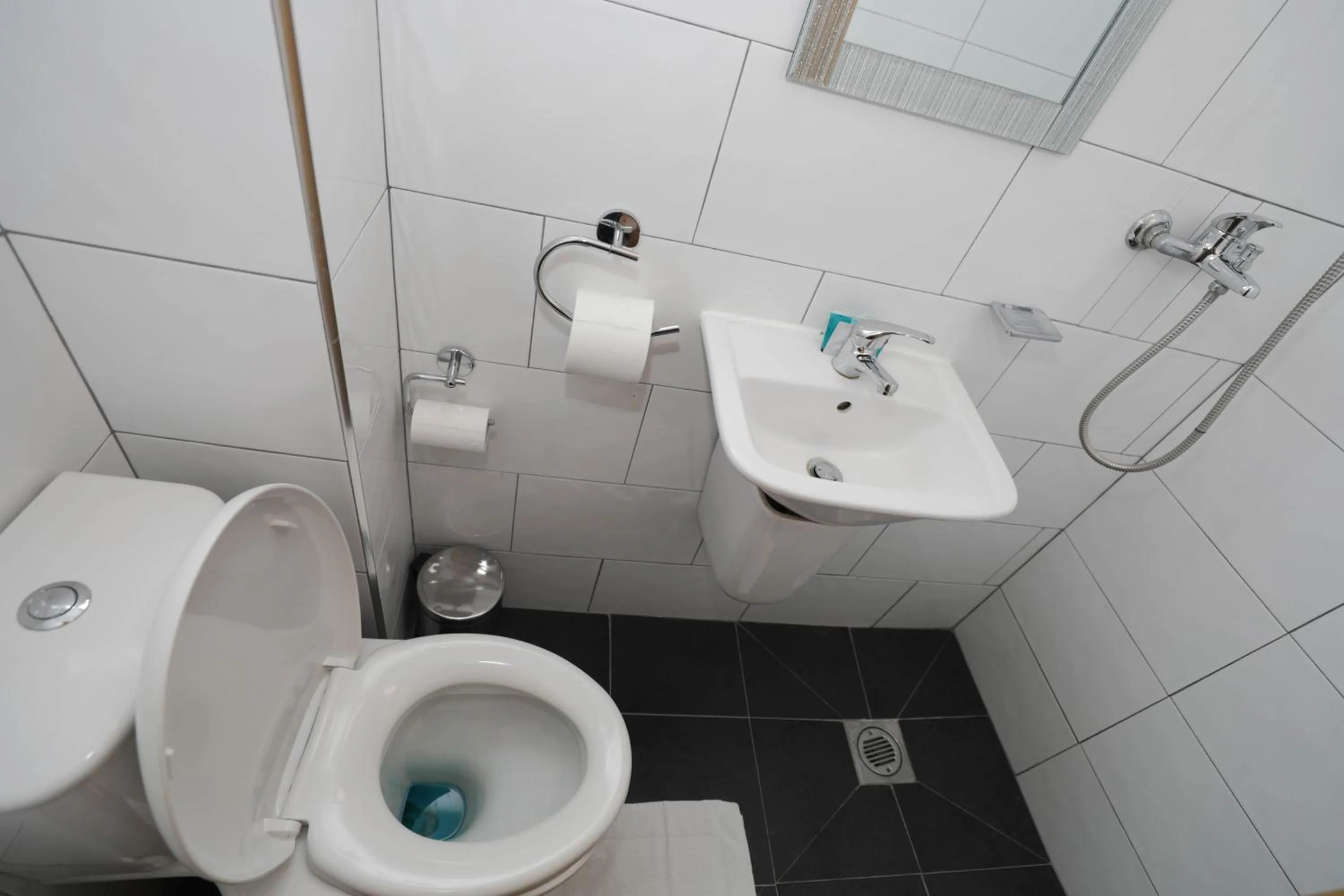 Toilet in Holland Inn Hotel