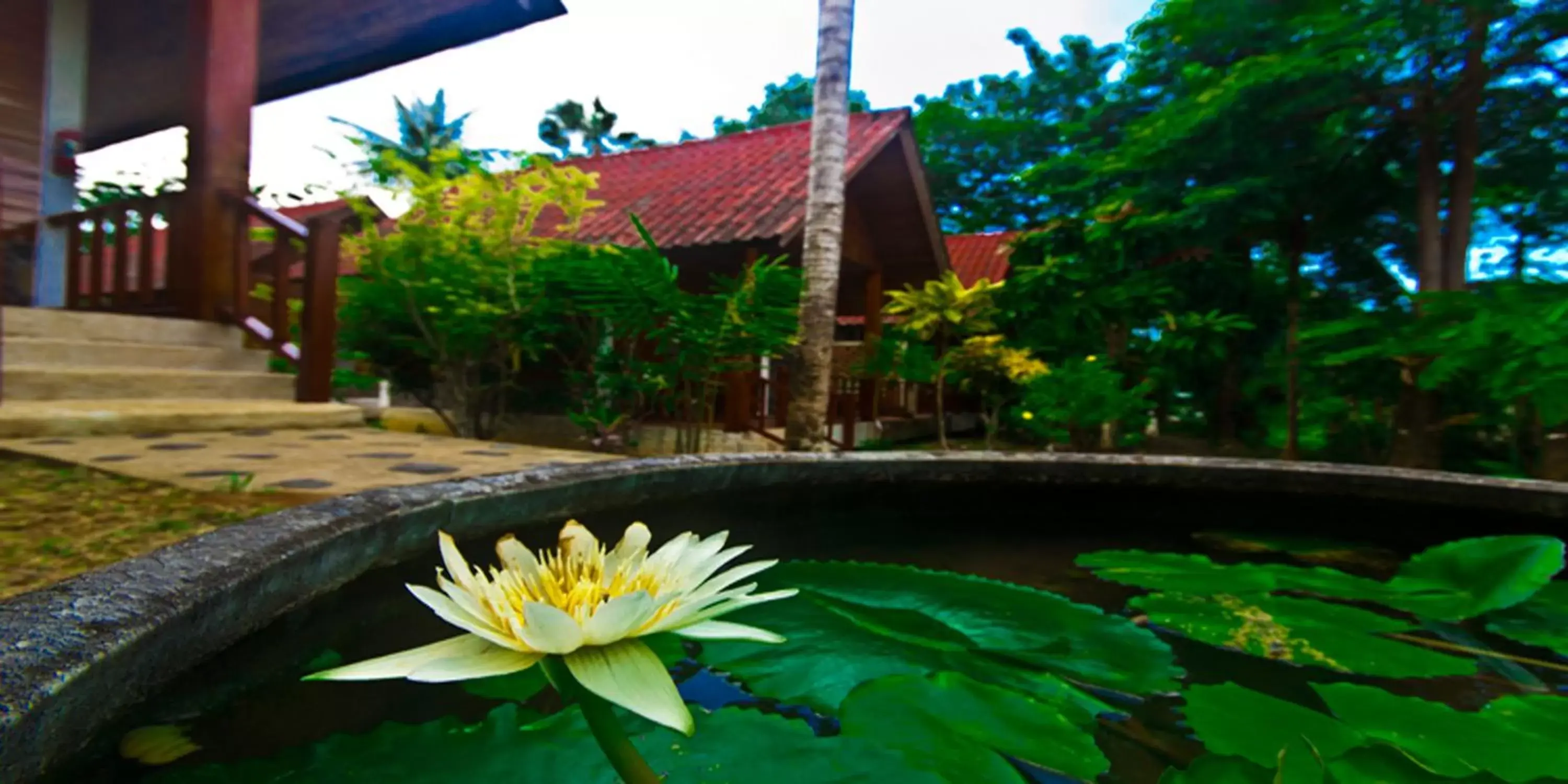 Other, Swimming Pool in Krathom Khaolak Resort