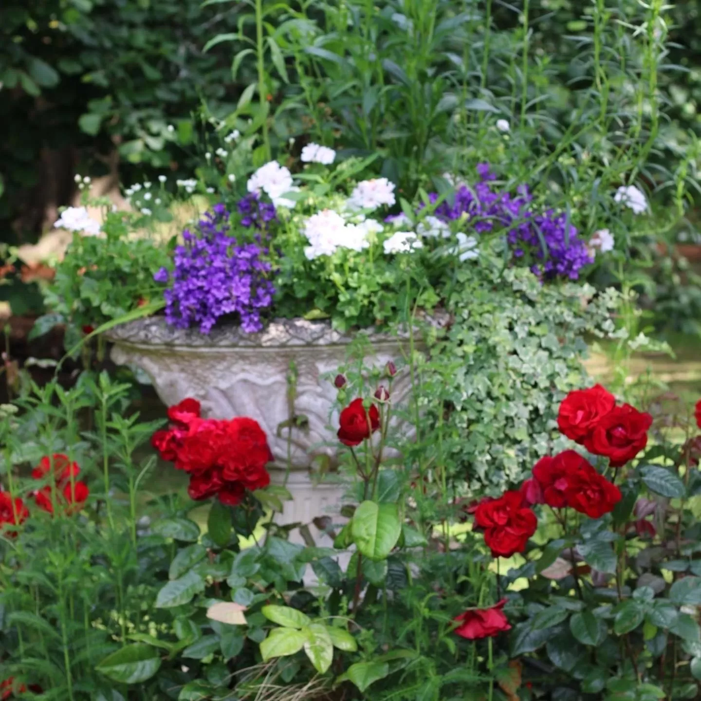 Garden in Auberge de Keranden