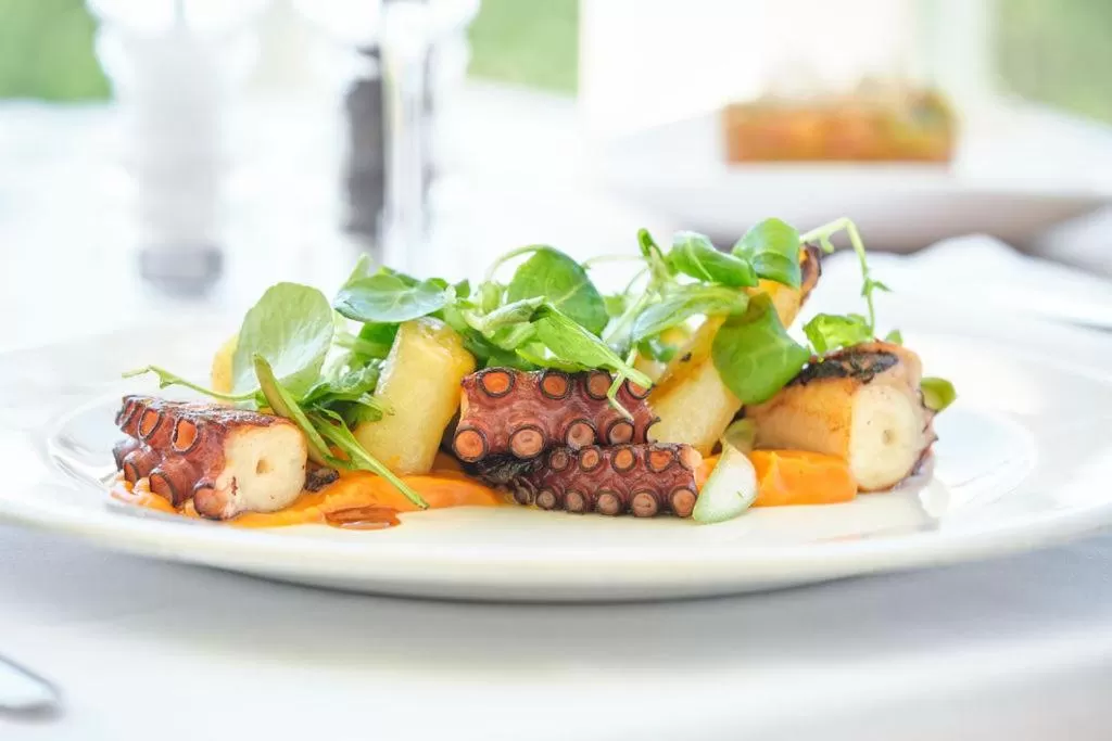 Food in Hotel Villa Chiquita - Adults Only - Over 12