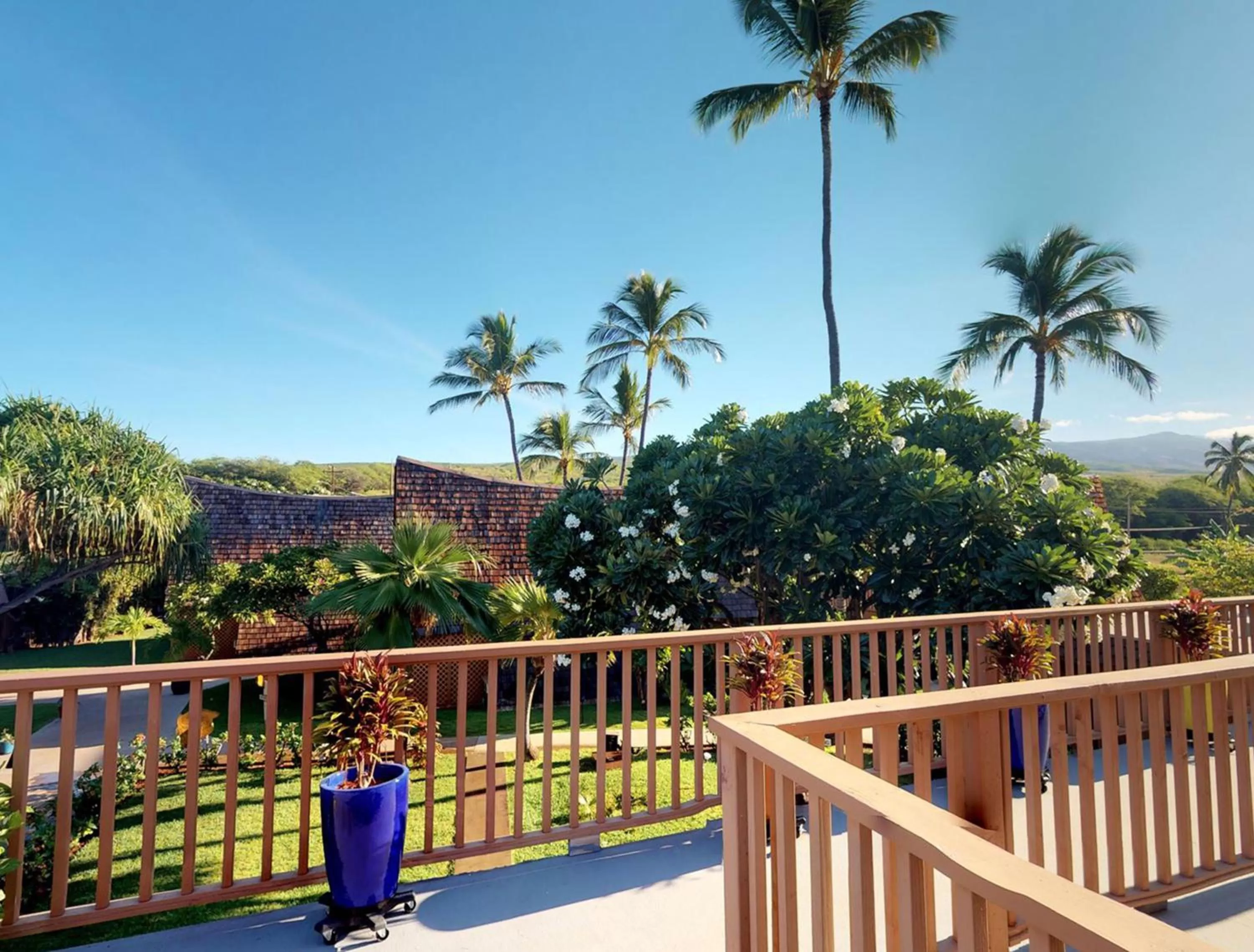 Day in Hotel Moloka'i