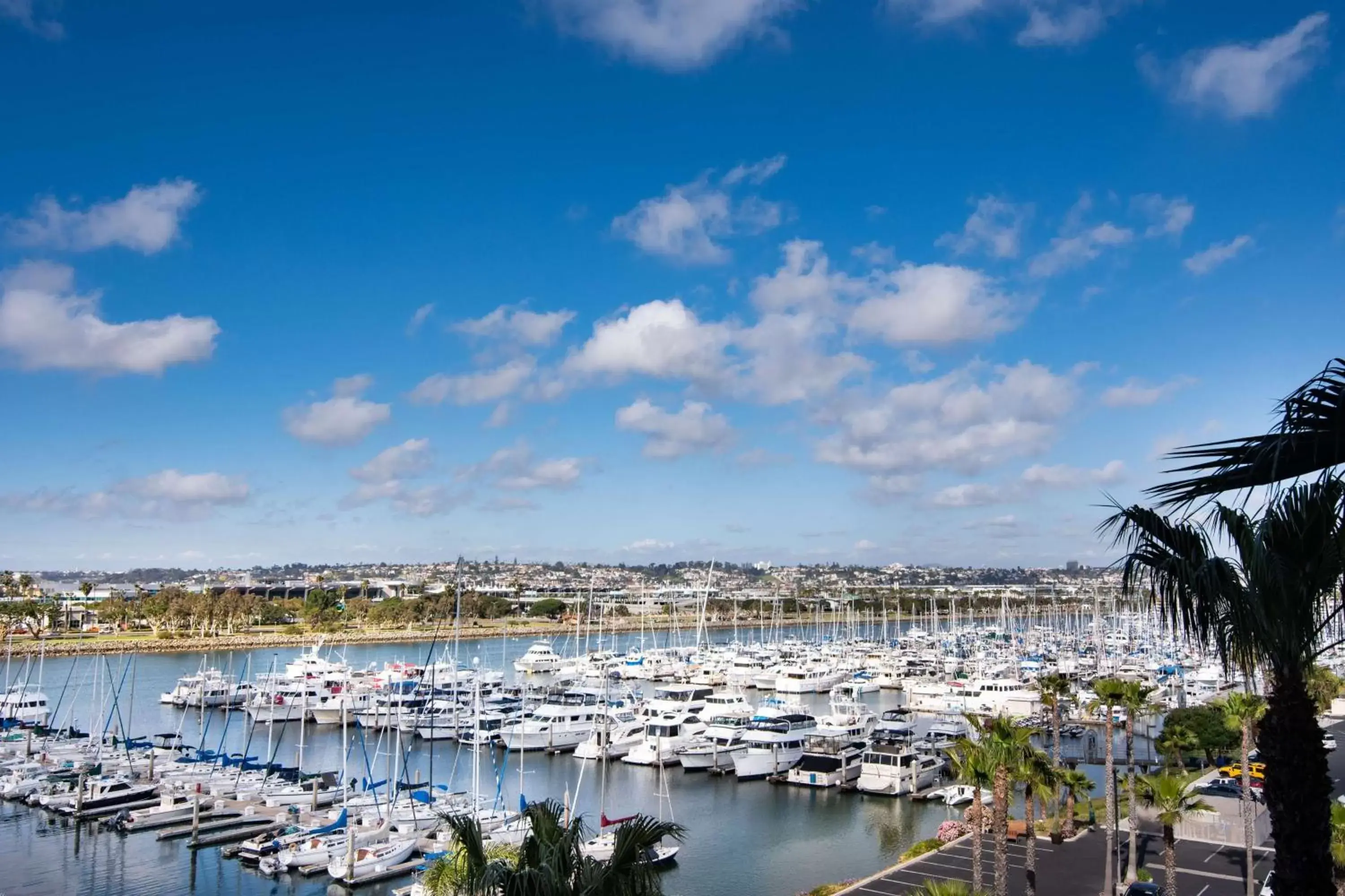 View (from property/room) in Hilton San Diego Airport/Harbor Island