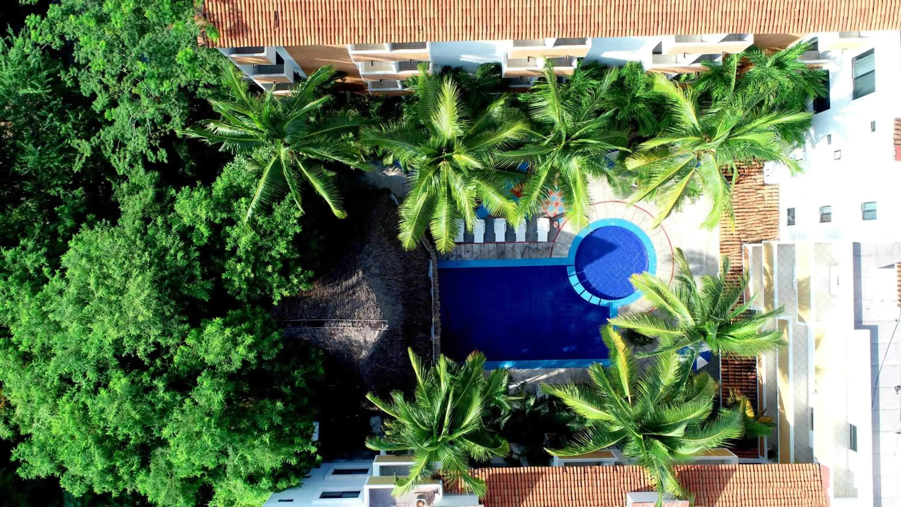 Swimming pool, Pool View in Hotel Costa Brava