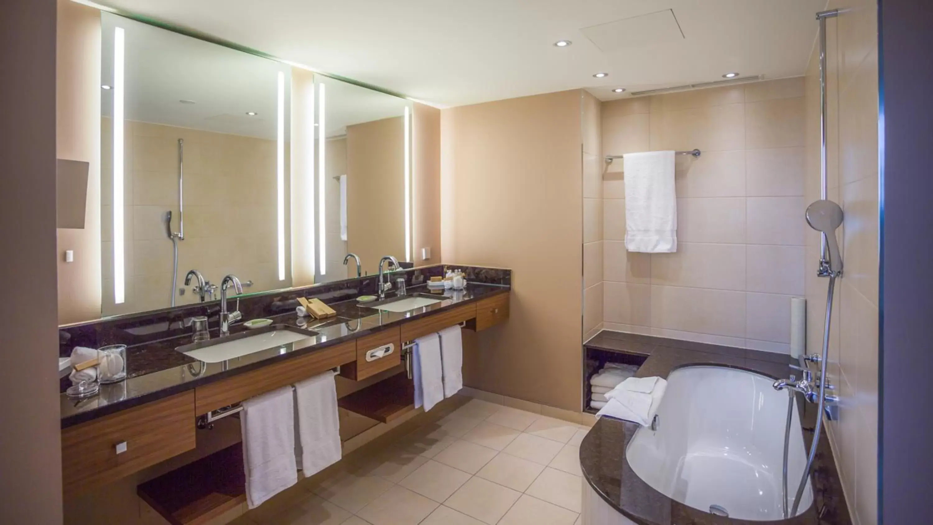 Bathroom in Moevenpick Hotel And Casino Geneva
