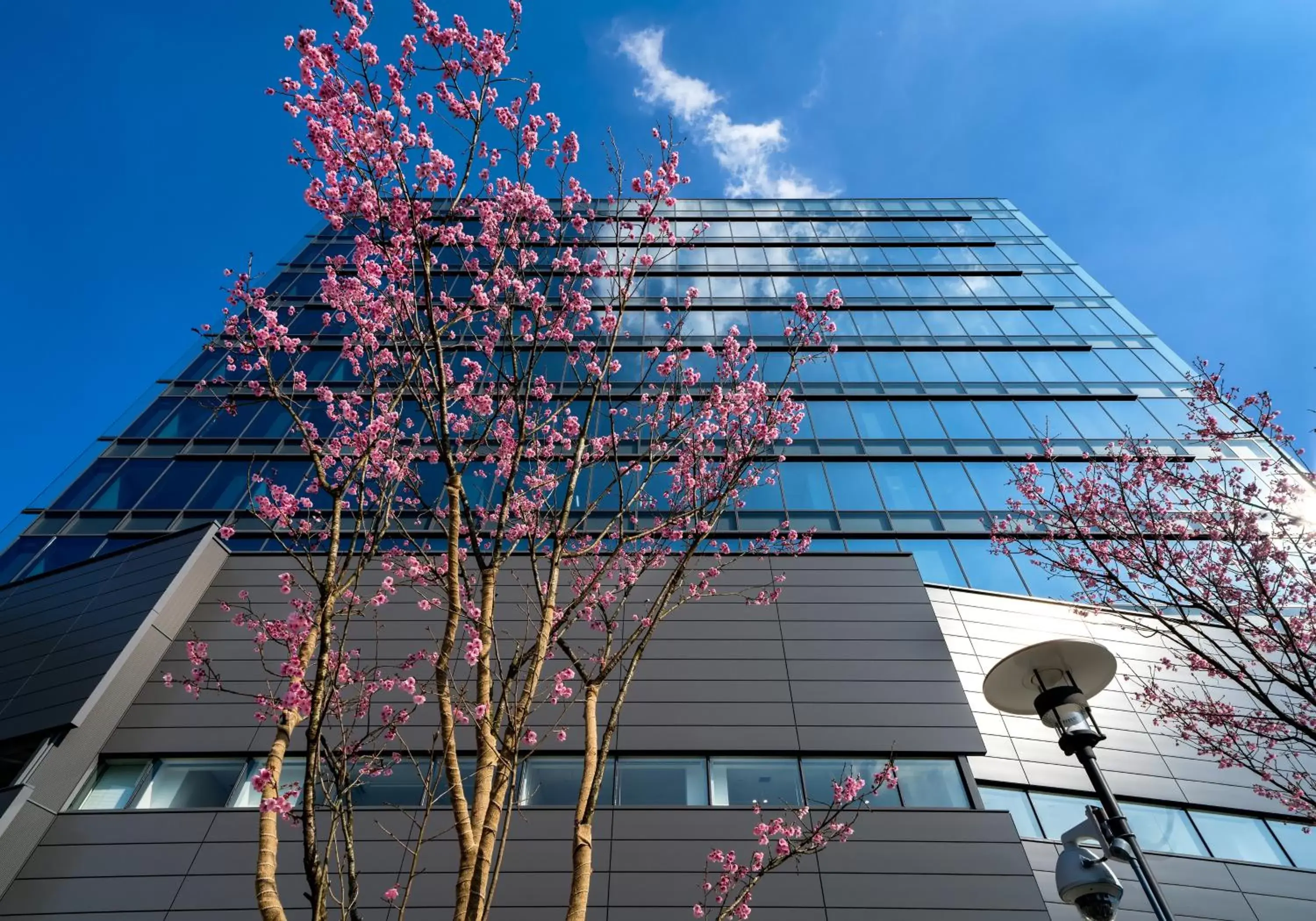 Property Building in Daiwa Roynet Hotel Hiroshima-ekimae