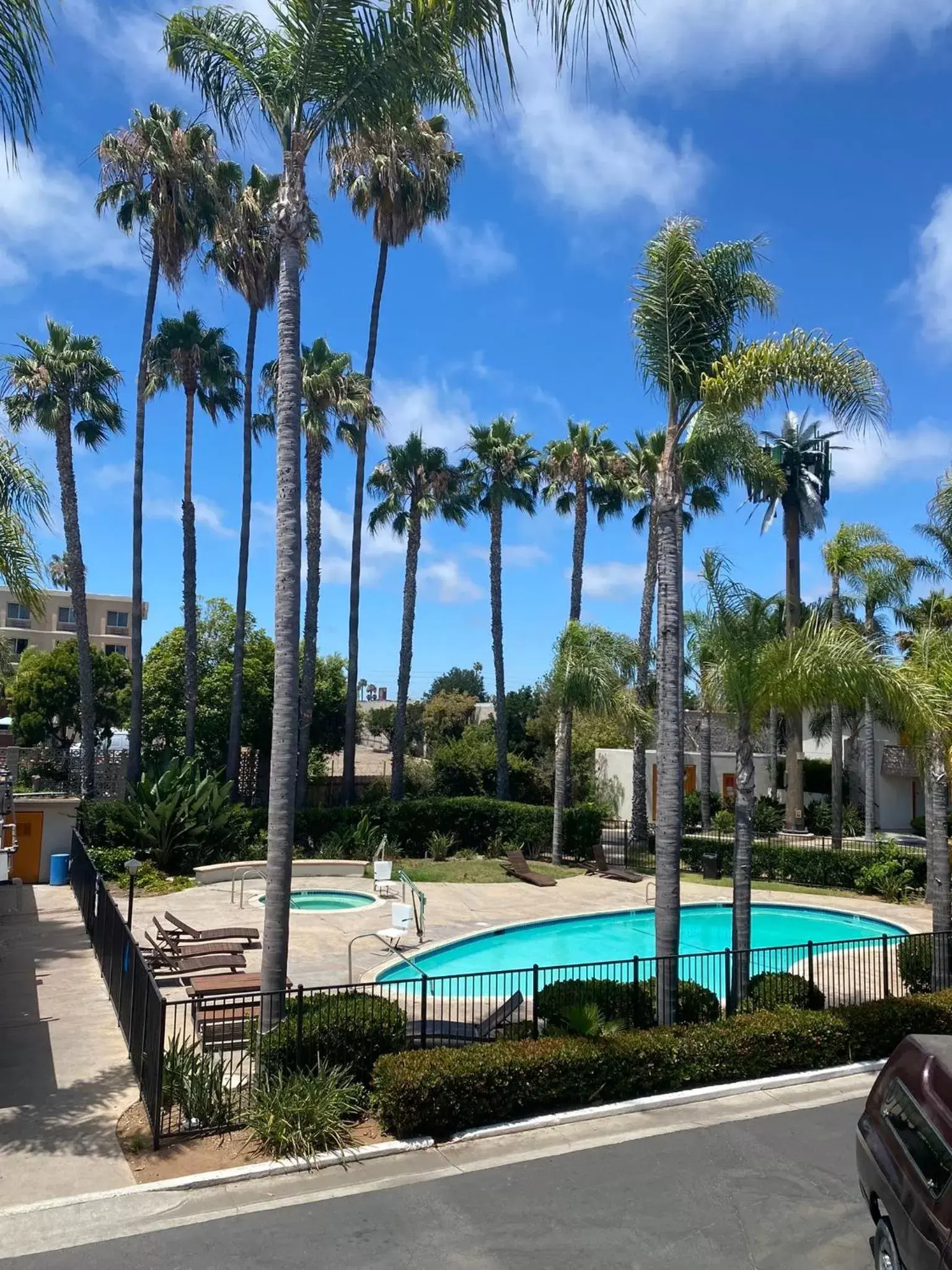 Swimming Pool in Hotel Palmeras Chula Vista