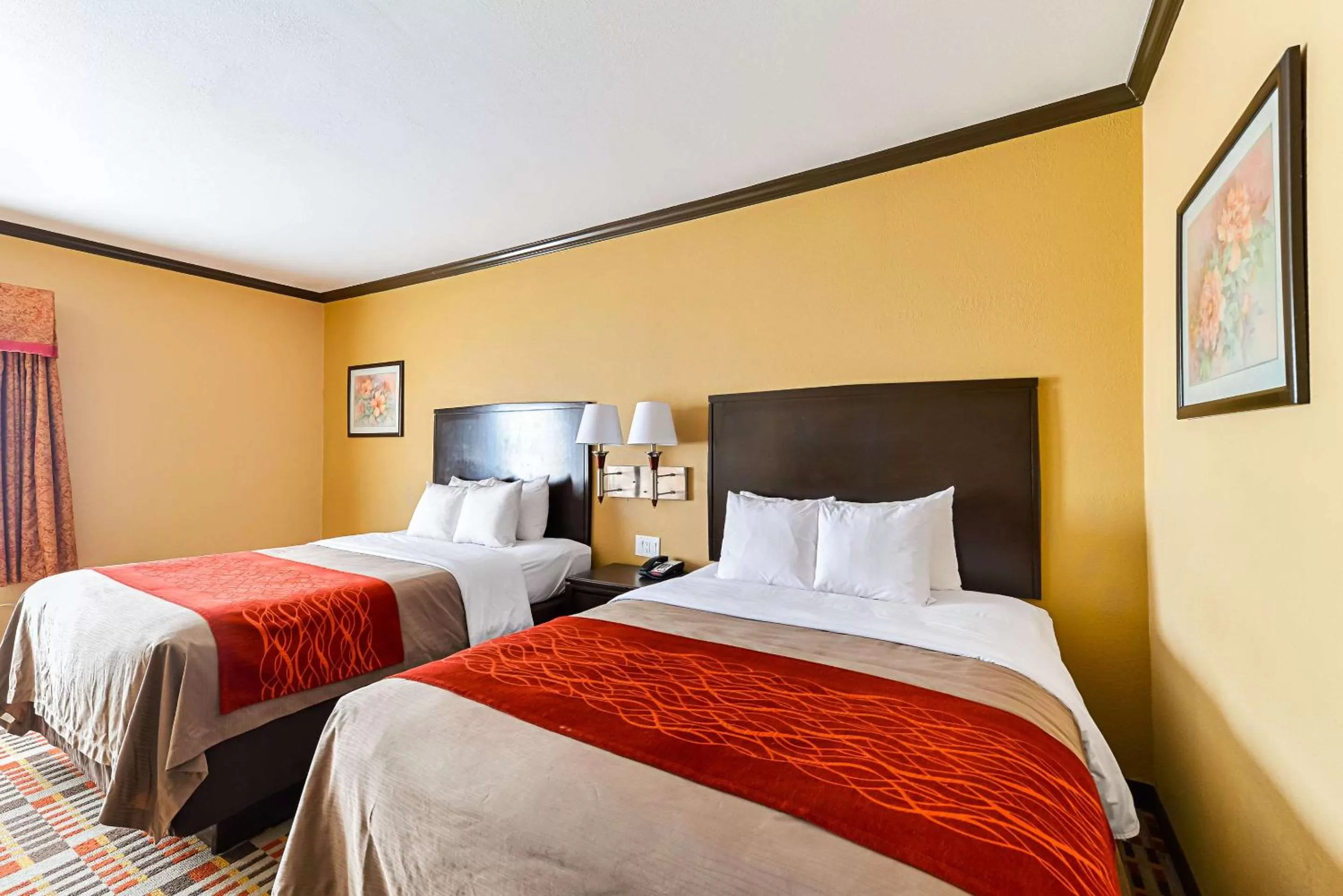 Photo of the whole room in Quality Inn & Suites Lubbock South