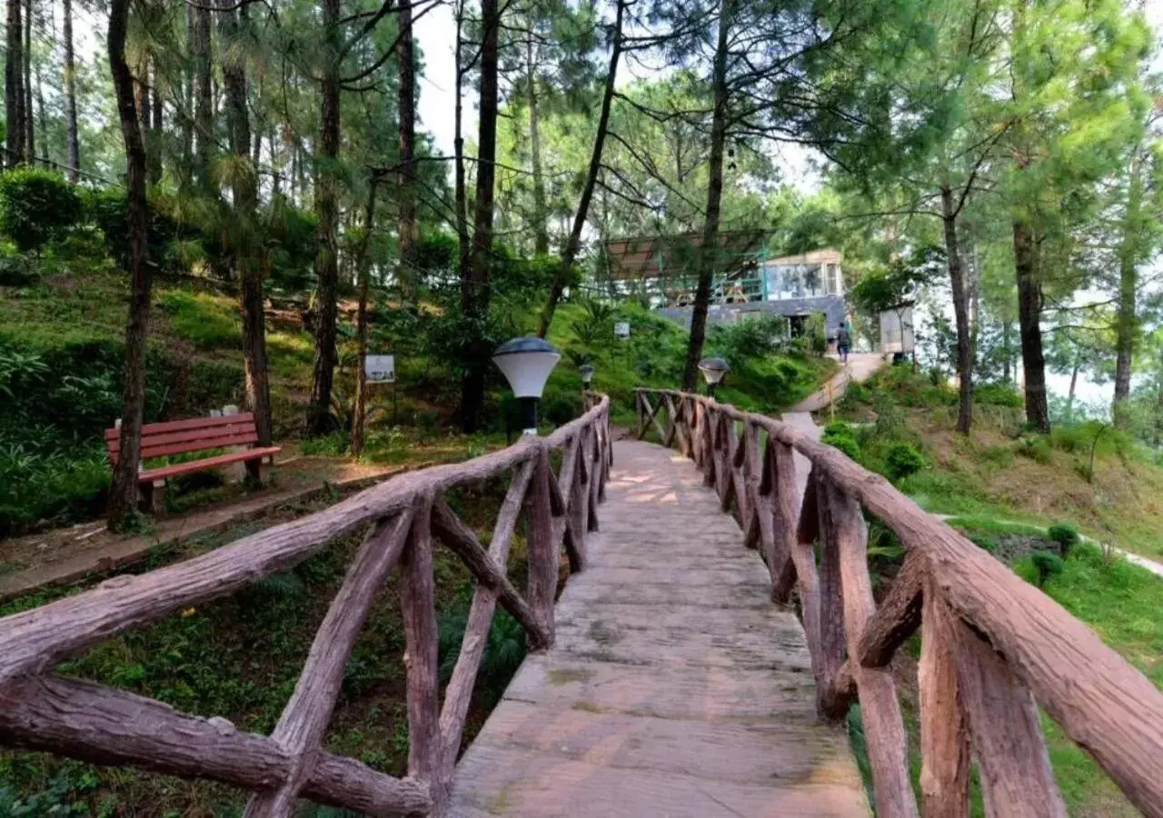 Natural landscape in Kasauli Hills Resort