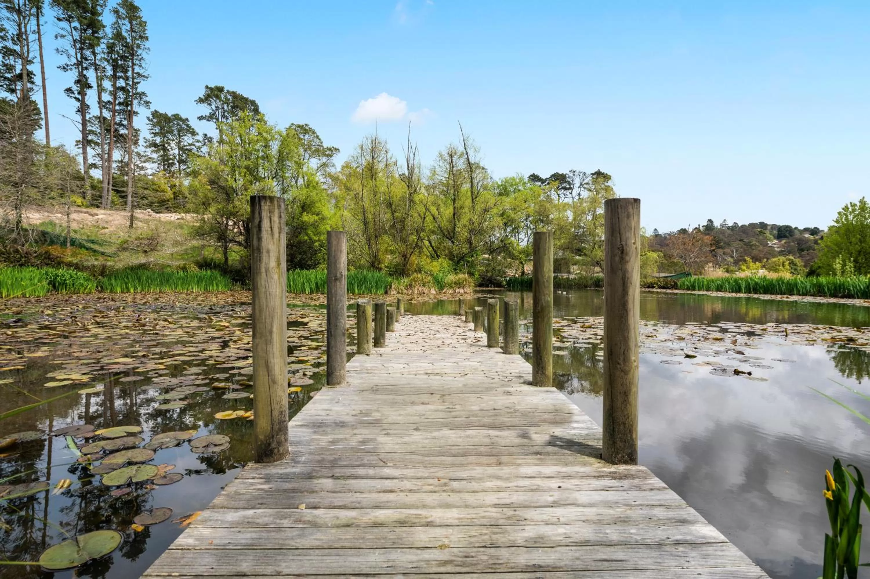 Natural landscape in Parklands Country Gardens & Lodges Blue Mountains
