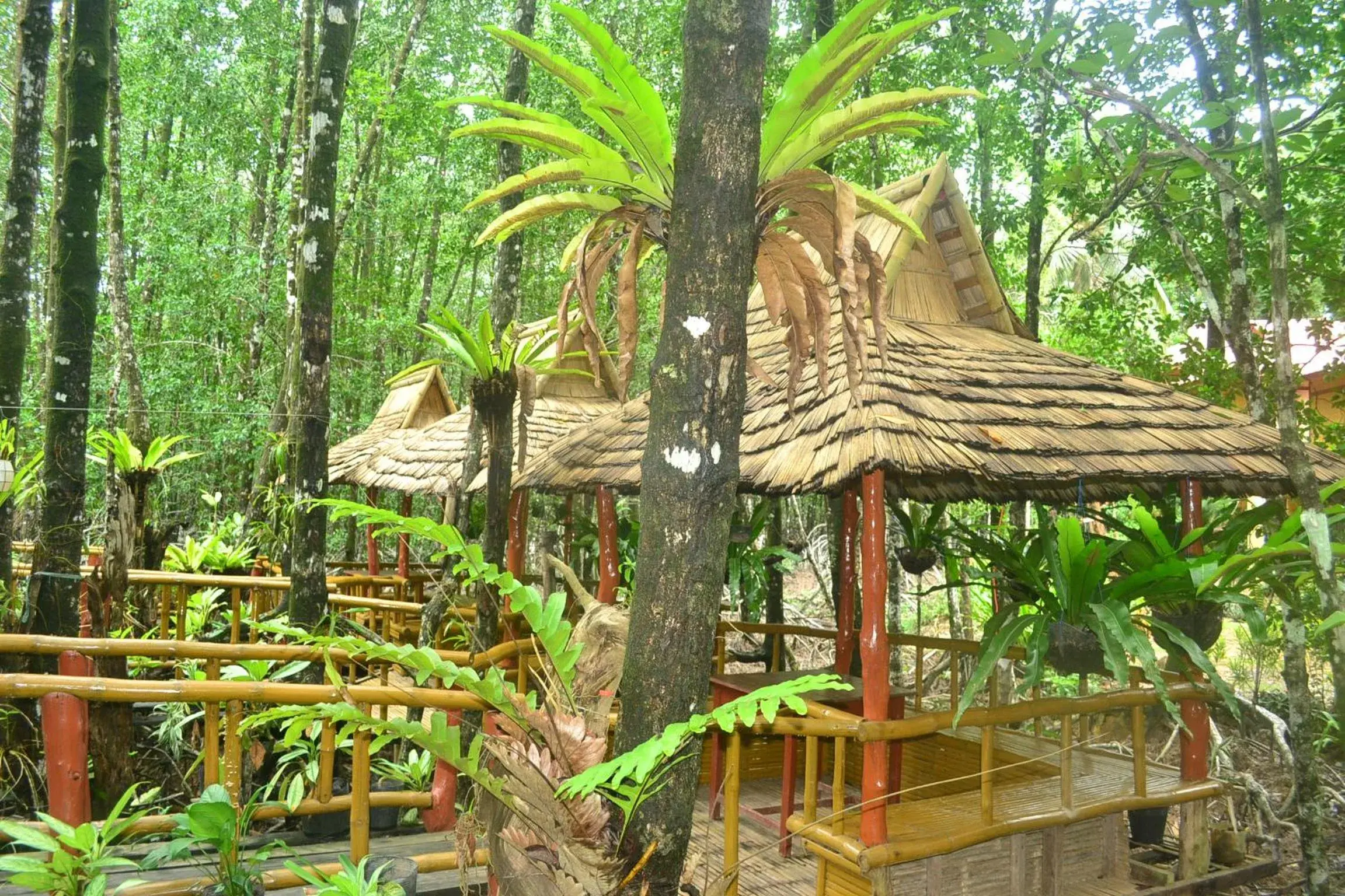 Restaurant/places to eat, Garden in Villa Israel Ecopark El Nido