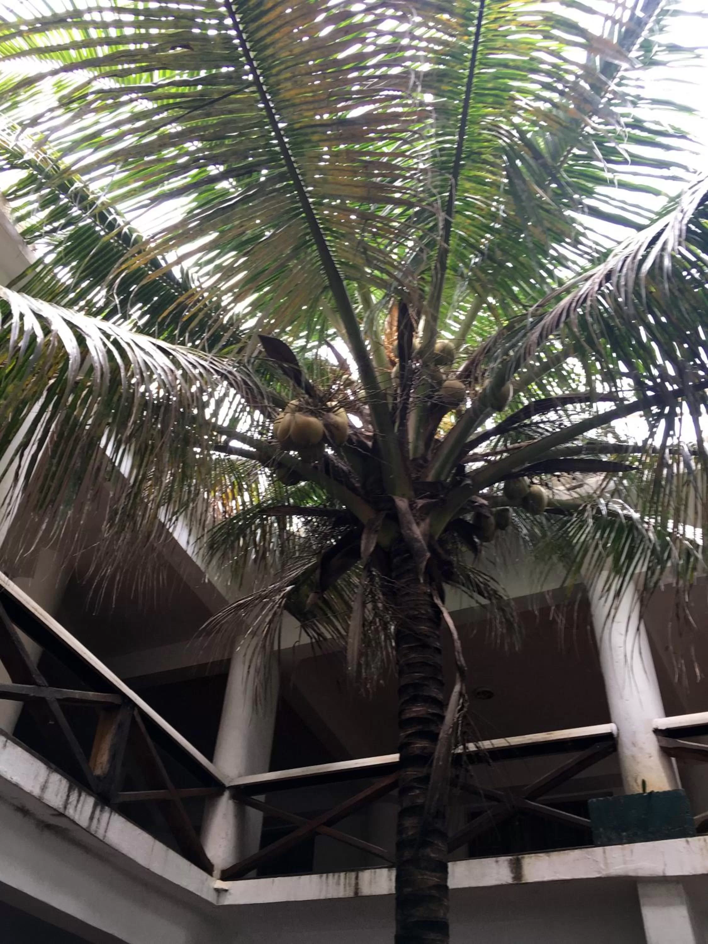 Garden view in Annexe de l'Hotel de la Poste