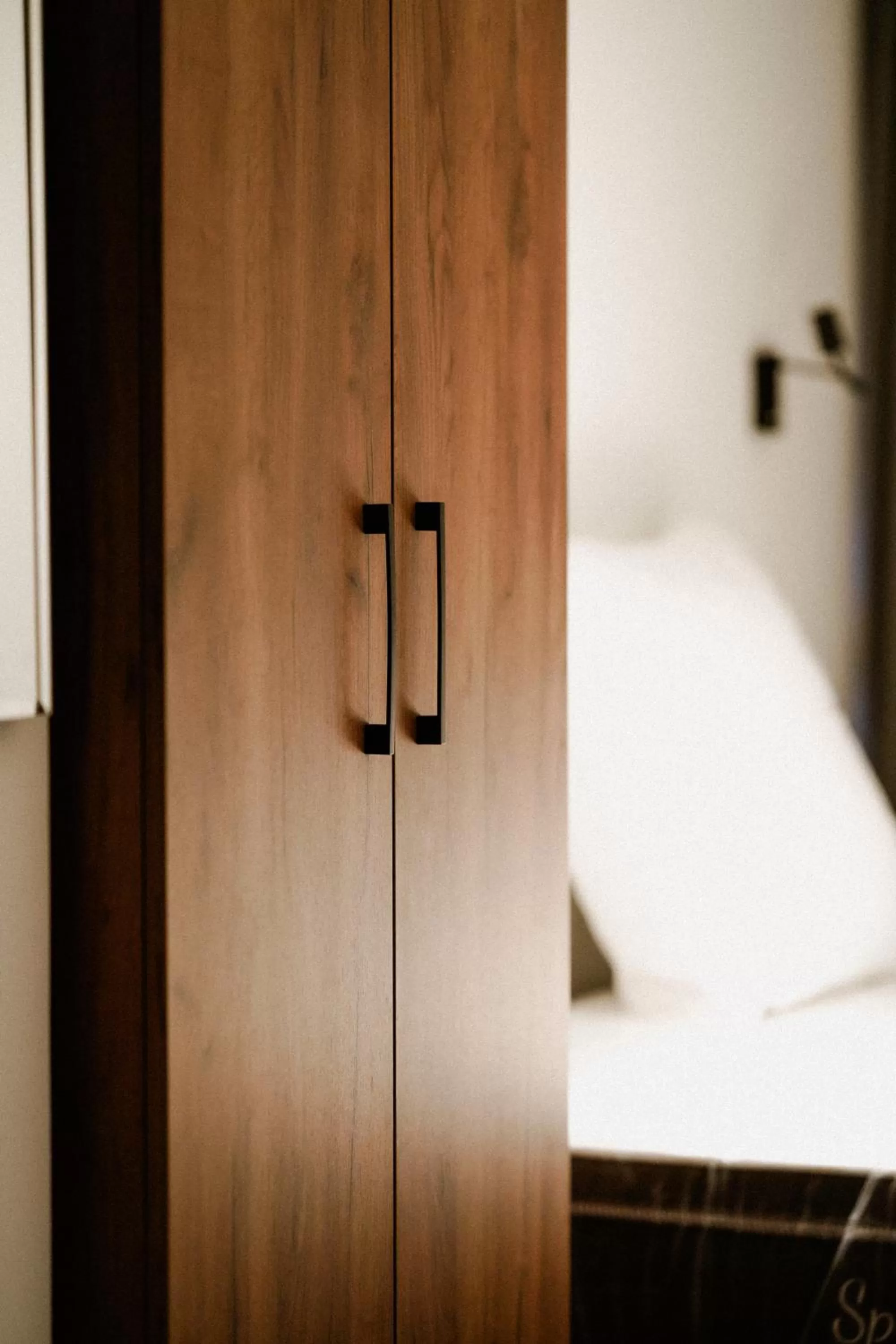 wardrobe in The White Tree