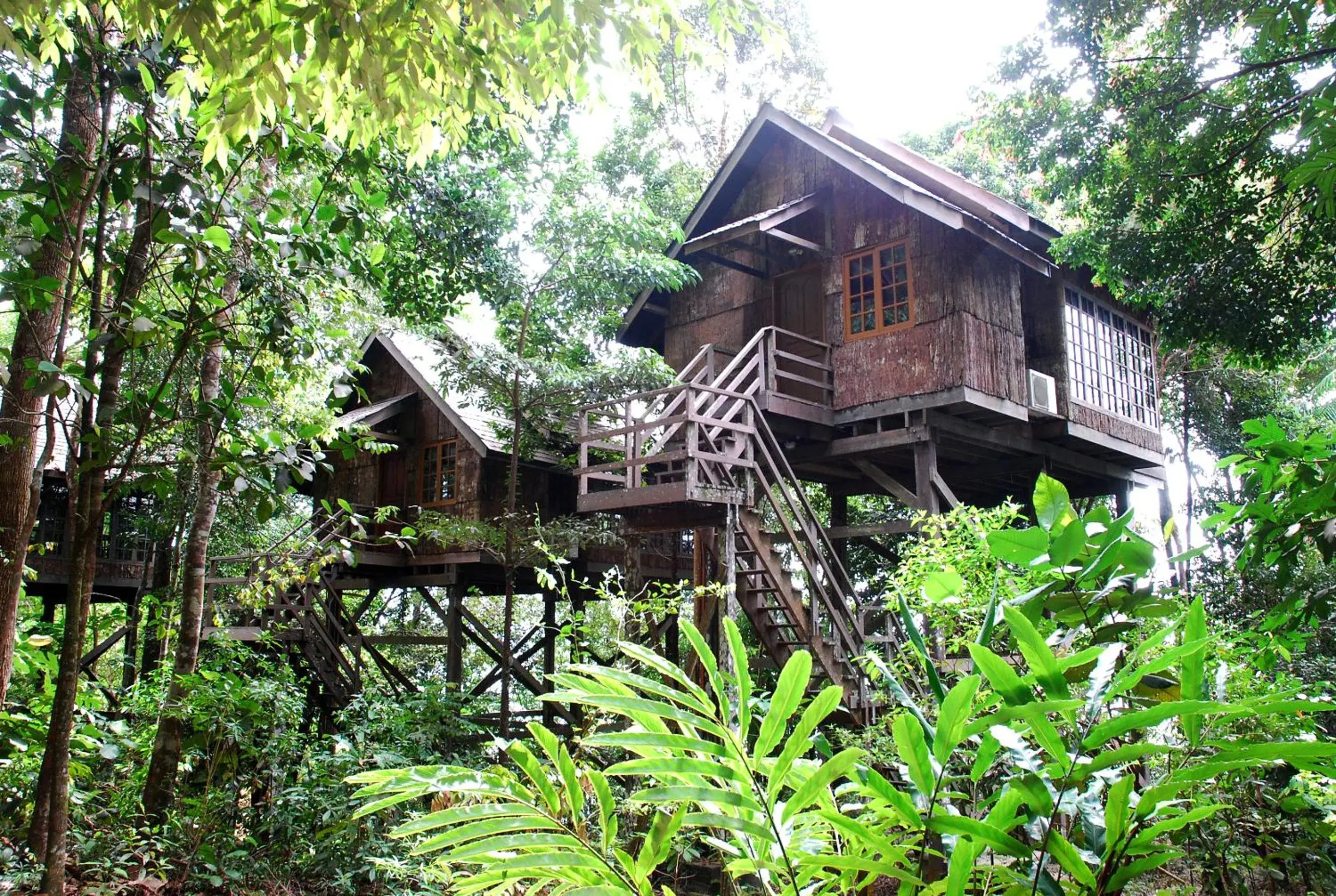 Day, Property Building in Permai Rainforest Resort