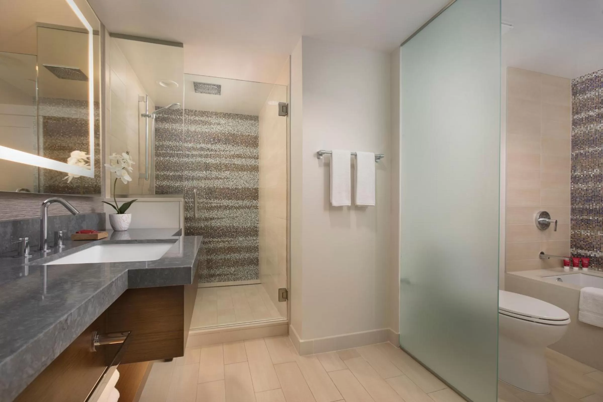 Bathroom in Hyatt Regency Maui Resort & Spa