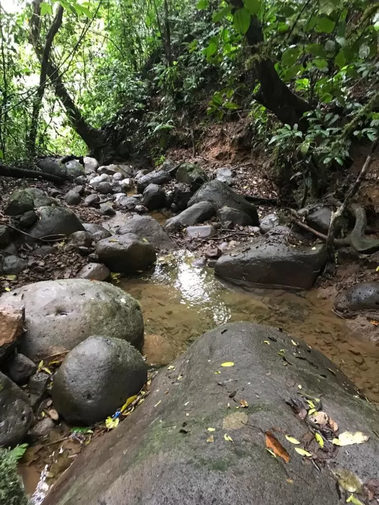 Hiking in Hotel Green Mountain turrialba