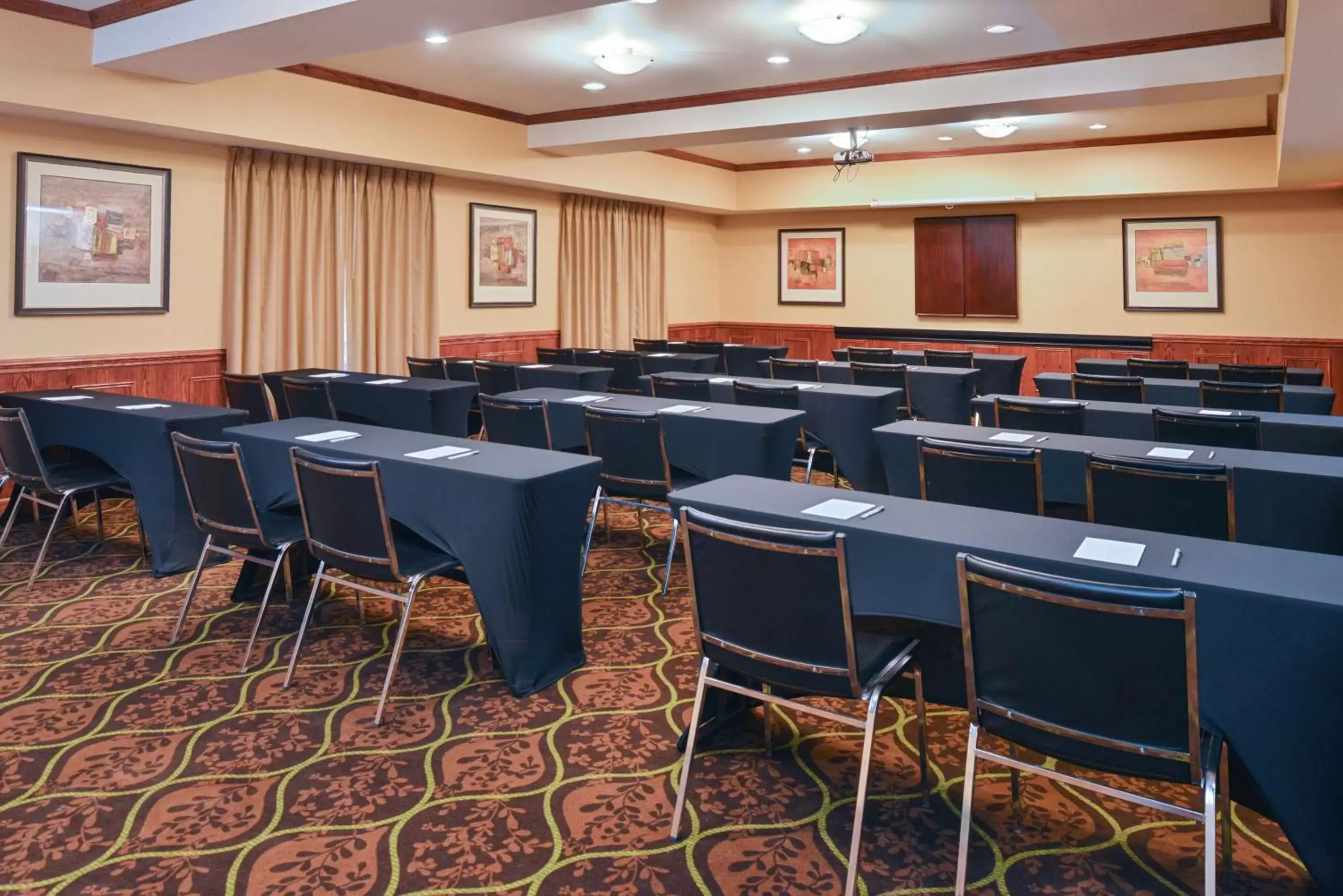 Meeting/conference room in Hampton Inn & Suites Greenville
