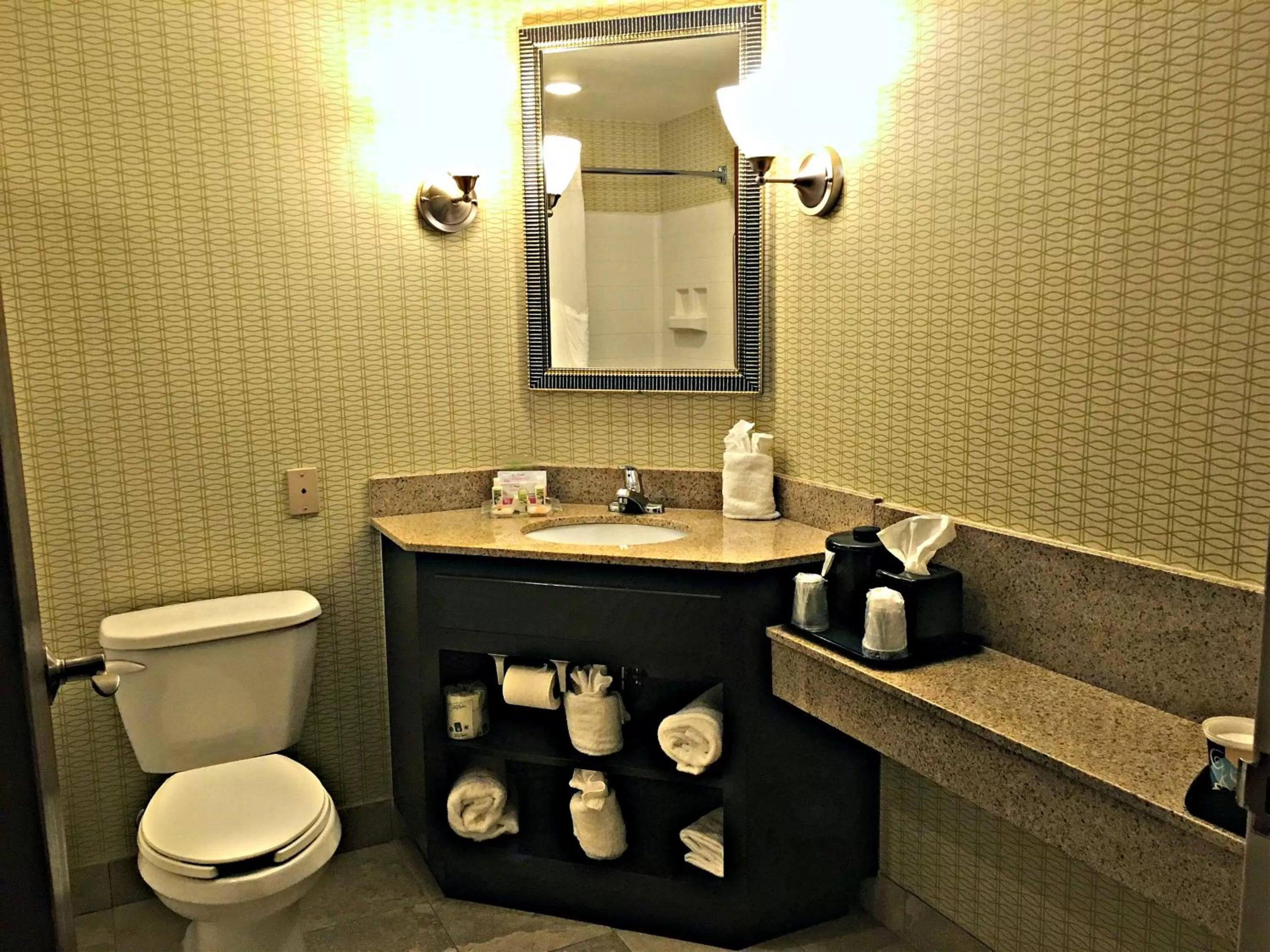 Bathroom in Burrstone Inn, an Ascend Collection Hotel