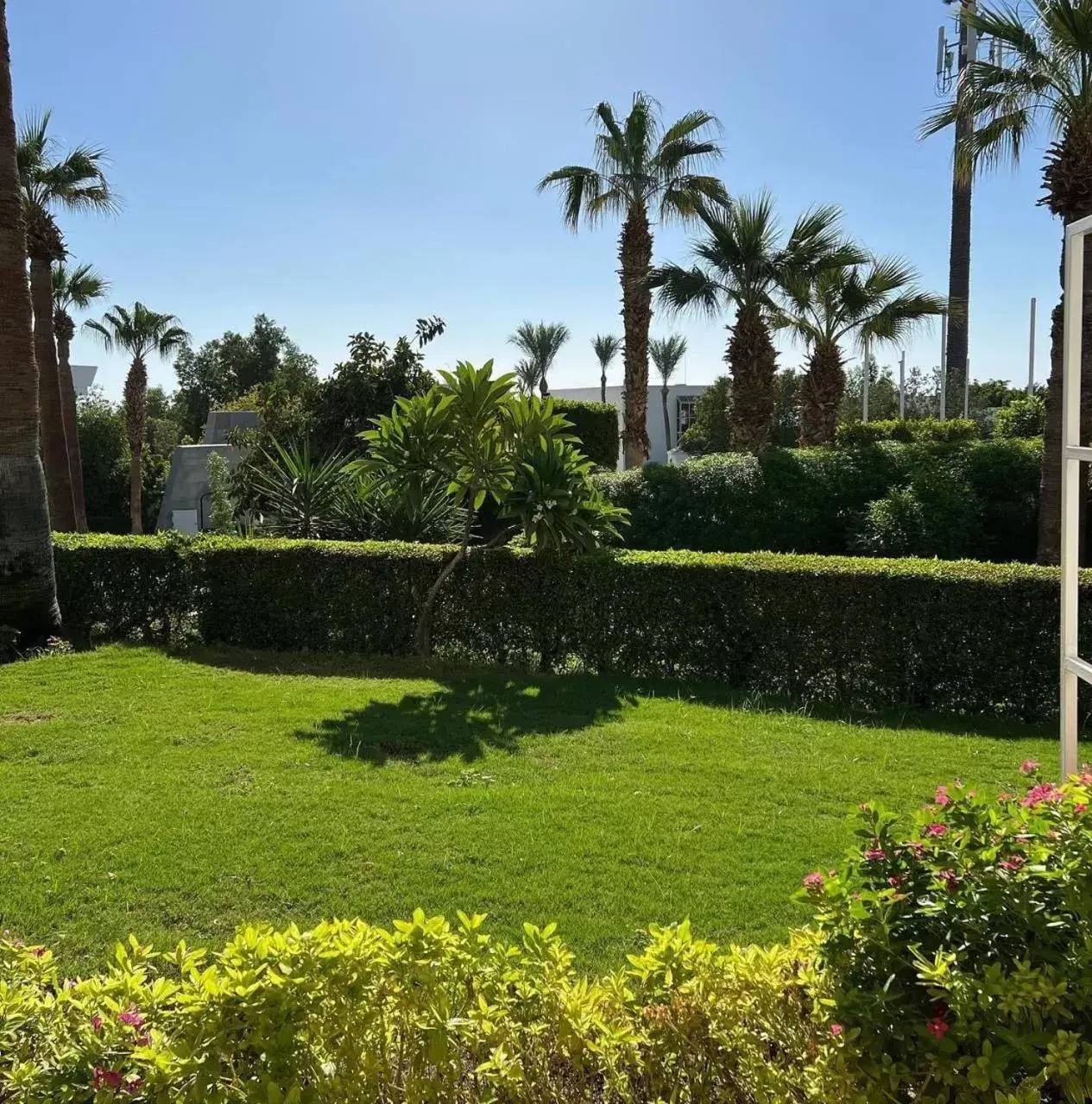 Garden in Monte Carlo Sharm Resort & Spa