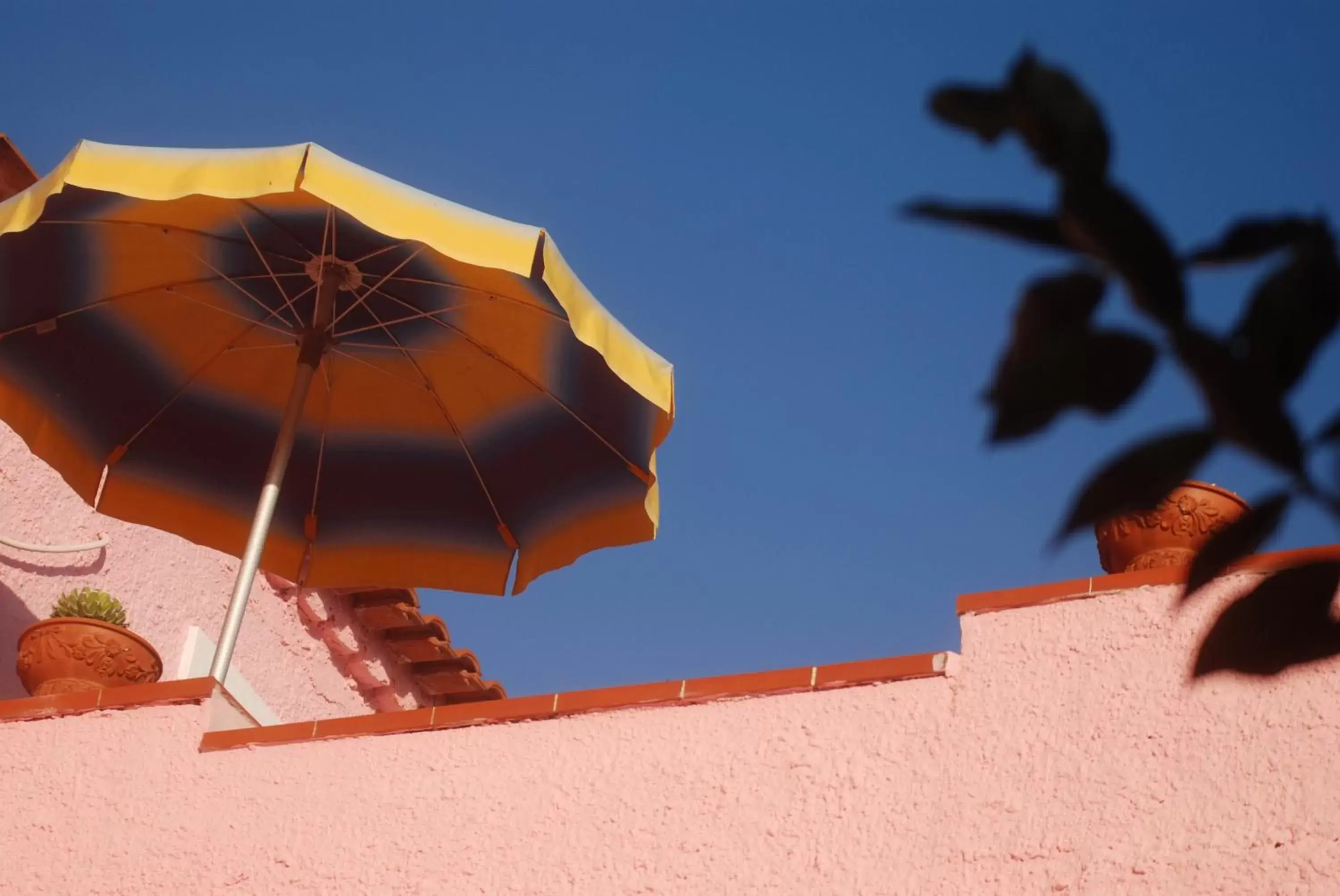 Facade/entrance in Hotel Casa Nicola Facade/entrance in Hotel Casa Nicola