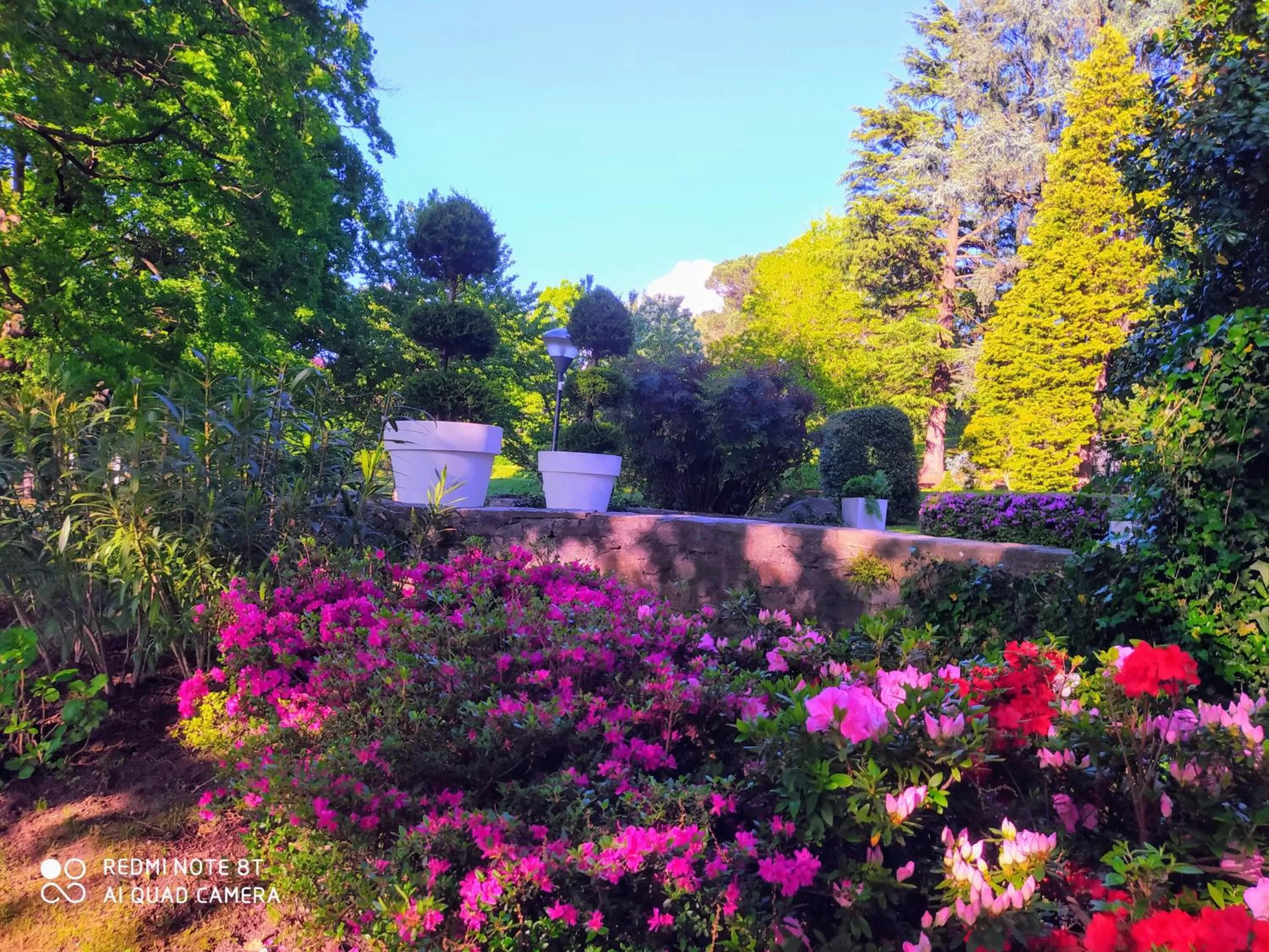 Garden view in "La Selvetta" bed and breakfast