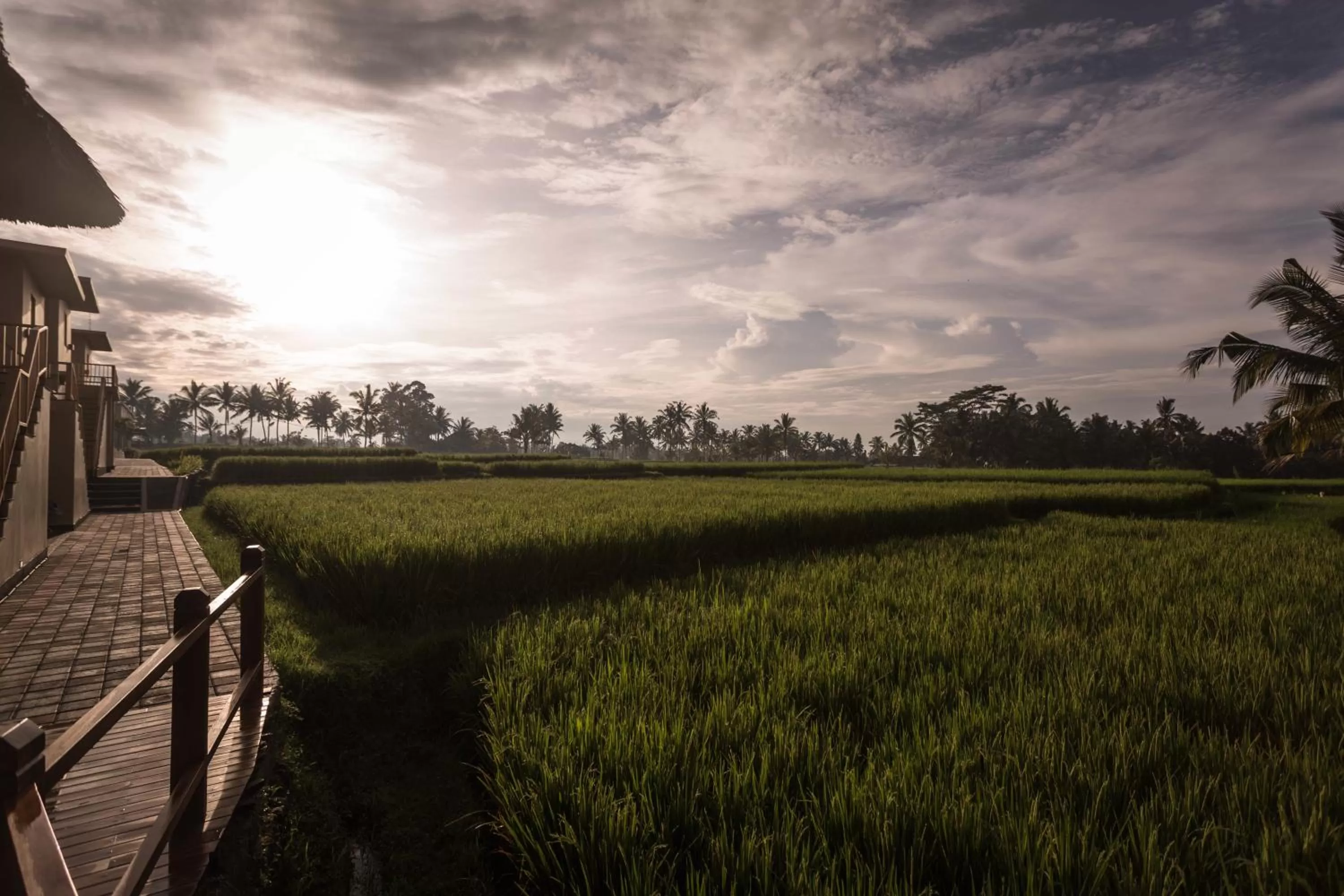 View (from property/room) in Manyi Village Ubud