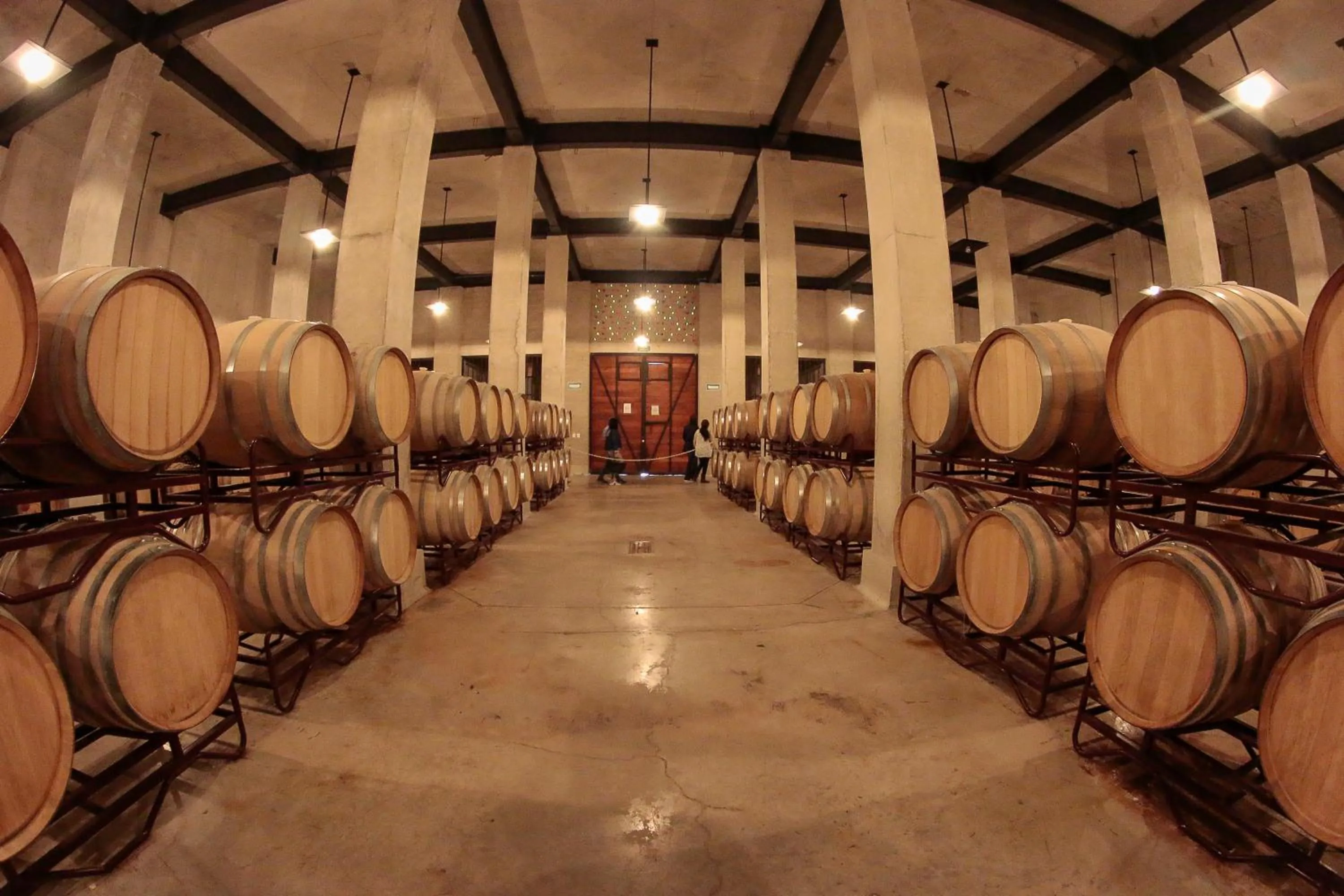 Activities in Hotel Rio Tequisquiapan