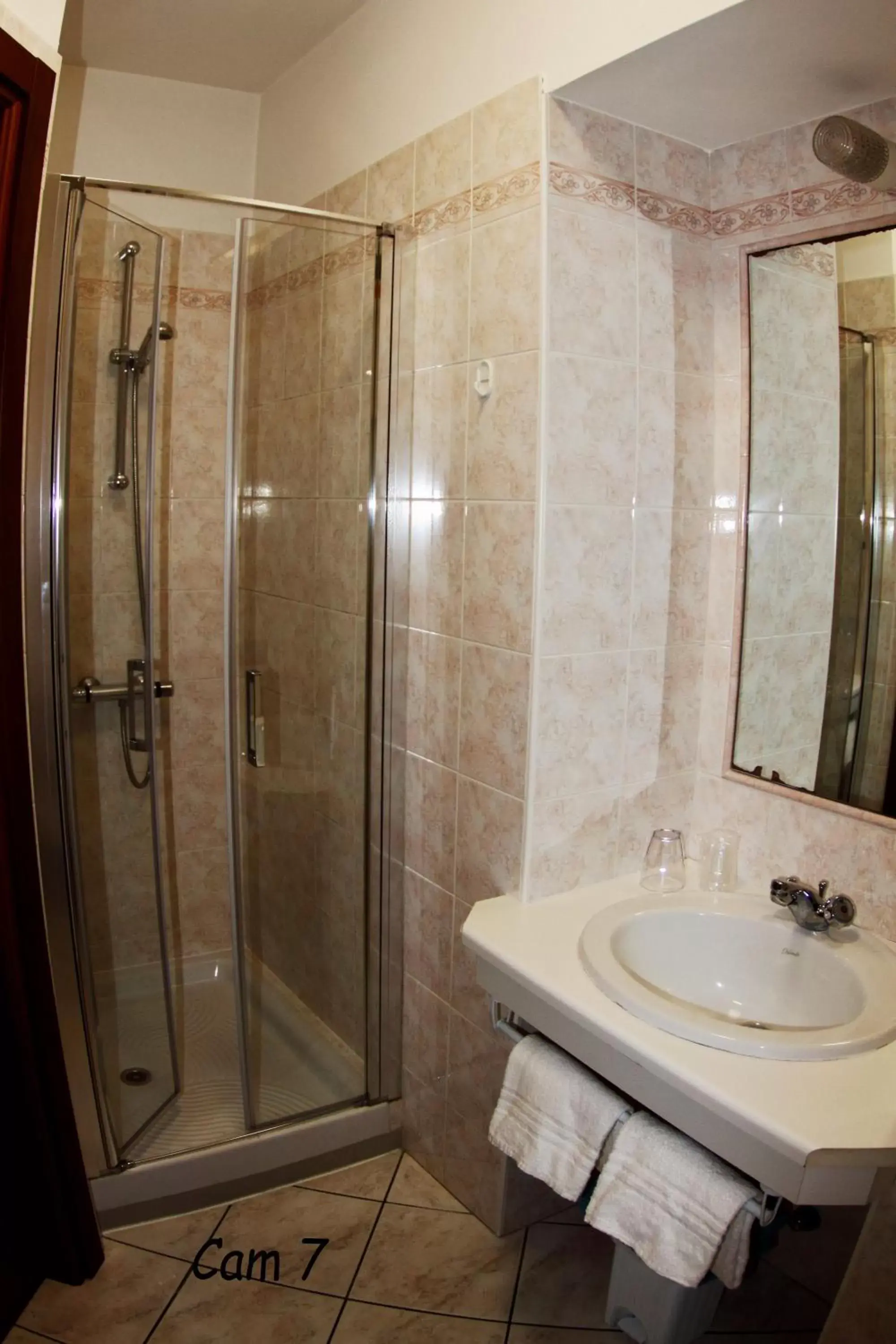 Shower, Bathroom in Hotel Fiorentino