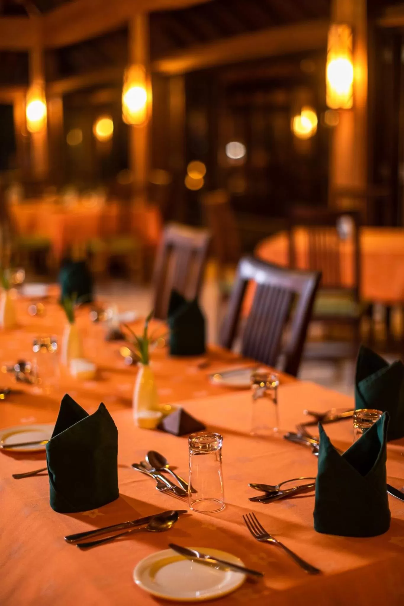 Restaurant/places to eat in Canareef Resort Maldives