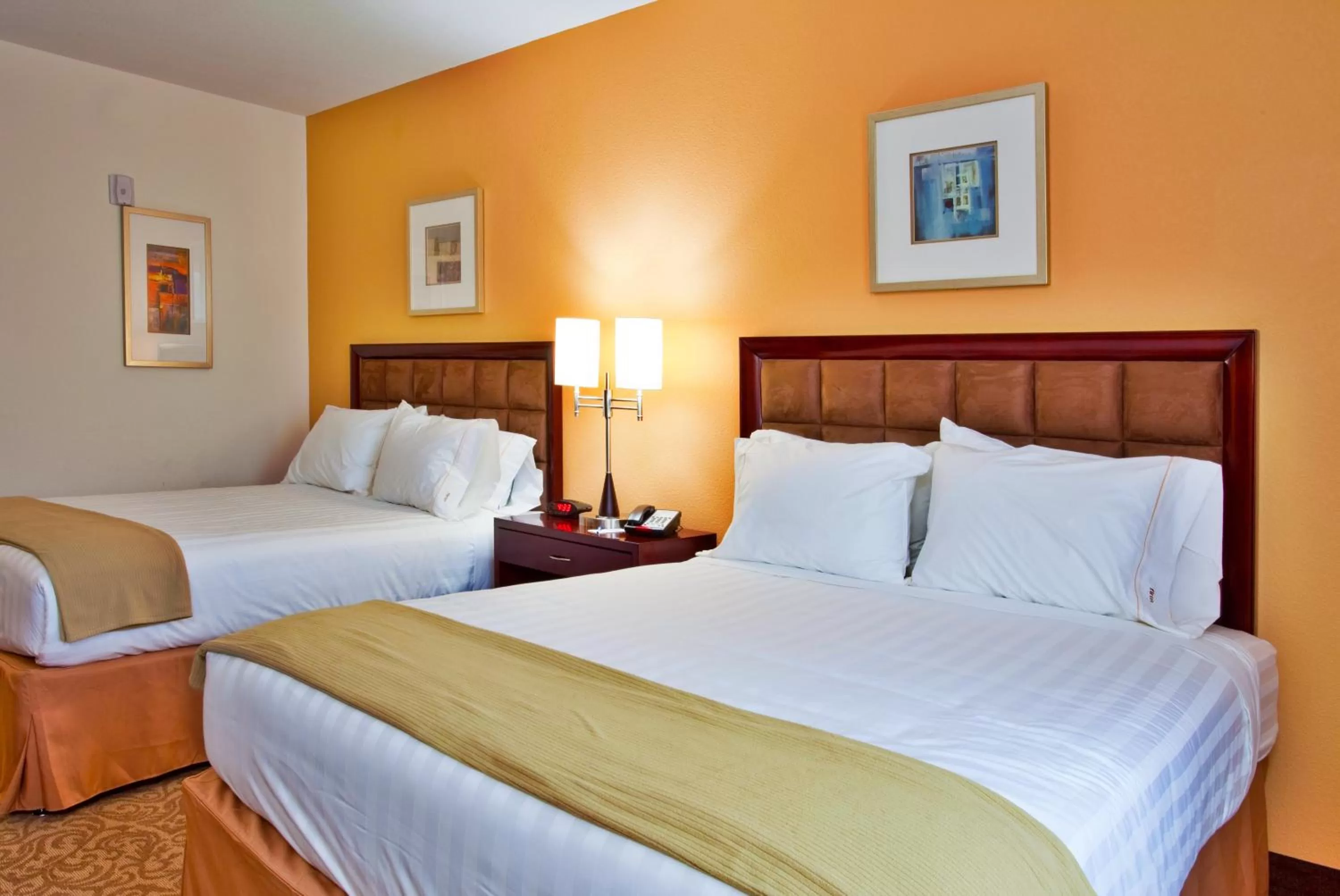 Photo of the whole room, Bed in Holiday Inn Express Hotel & Suites Brooksville-I-75 by IHG