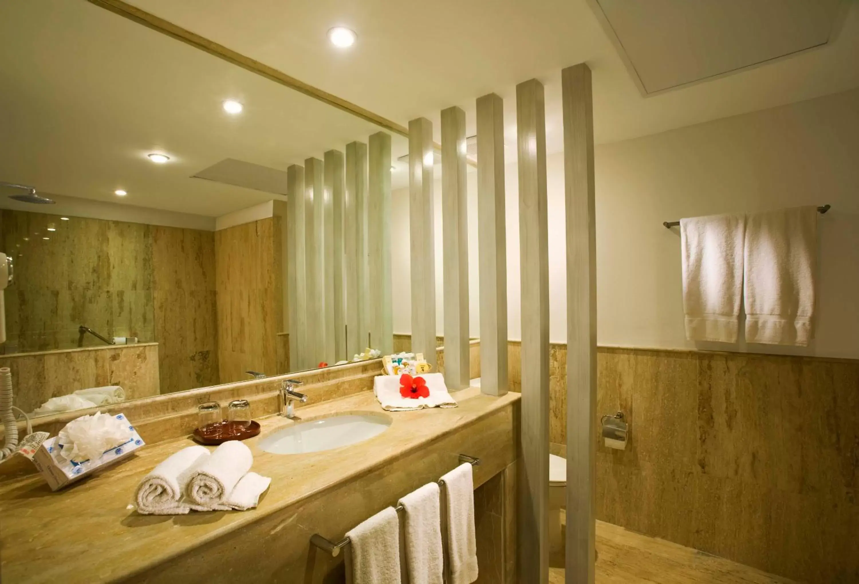 Toilet, Bathroom in VIK hotel Arena Blanca