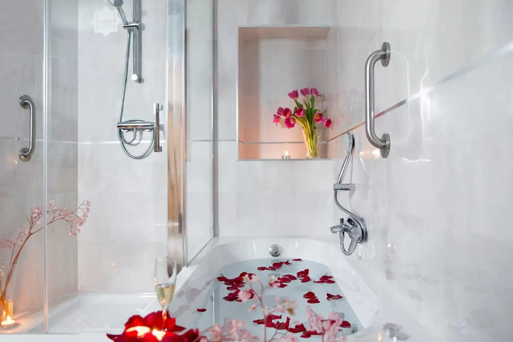 Decorative detail, Bathroom in Hotel Plaza Cavana