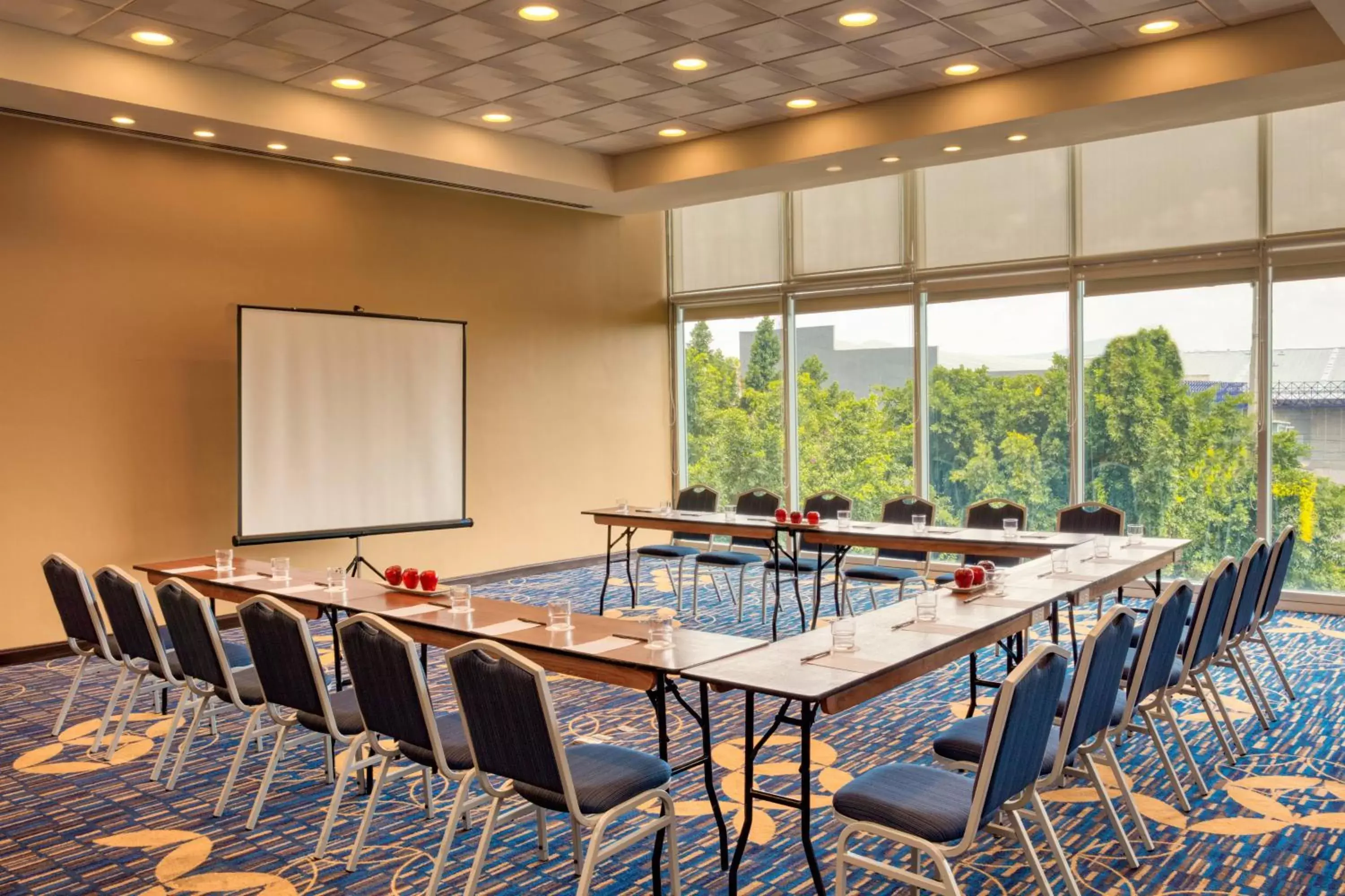 Meeting/conference room in Courtyard by Marriott Queretaro