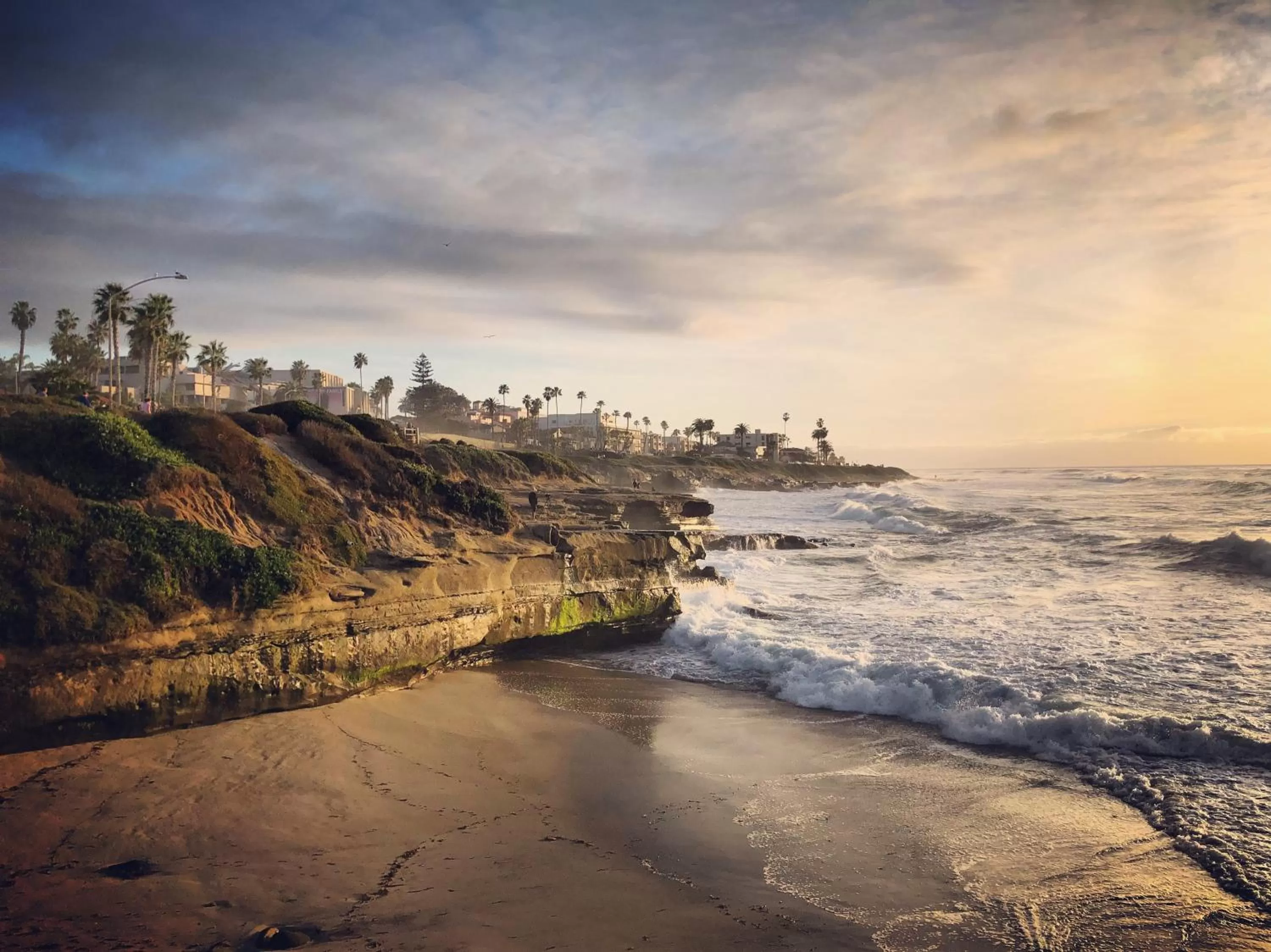 Natural landscape in La Jolla Cove Suites